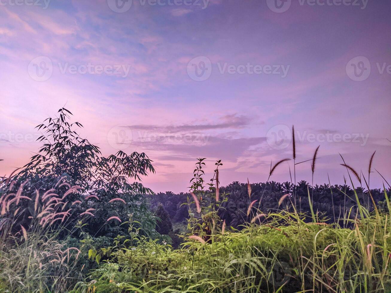 le coucher du soleil dans le montagnes.nature voir. photo