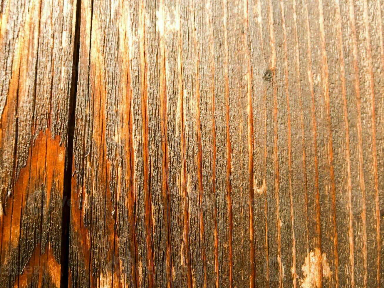 fond de texture en bois photo