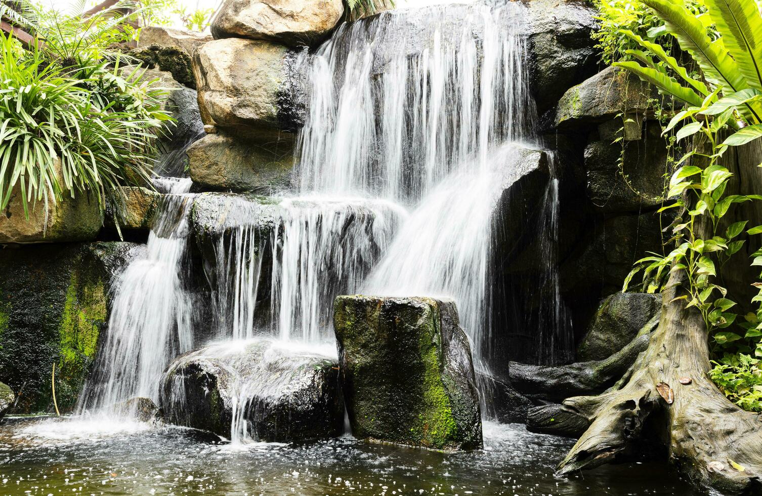 petite cascade dans la forêt profonde photo