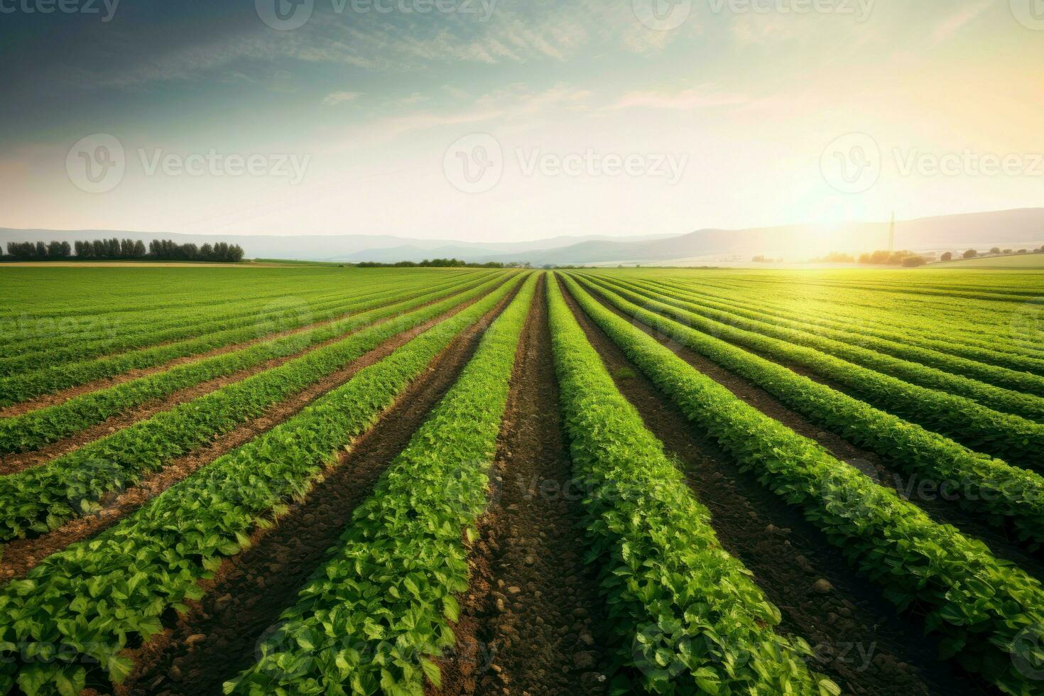 ai généré agricole industrie est une Majeur donateur à serre gaz les émissions et Besoins à adopter plus durable les pratiques. photo