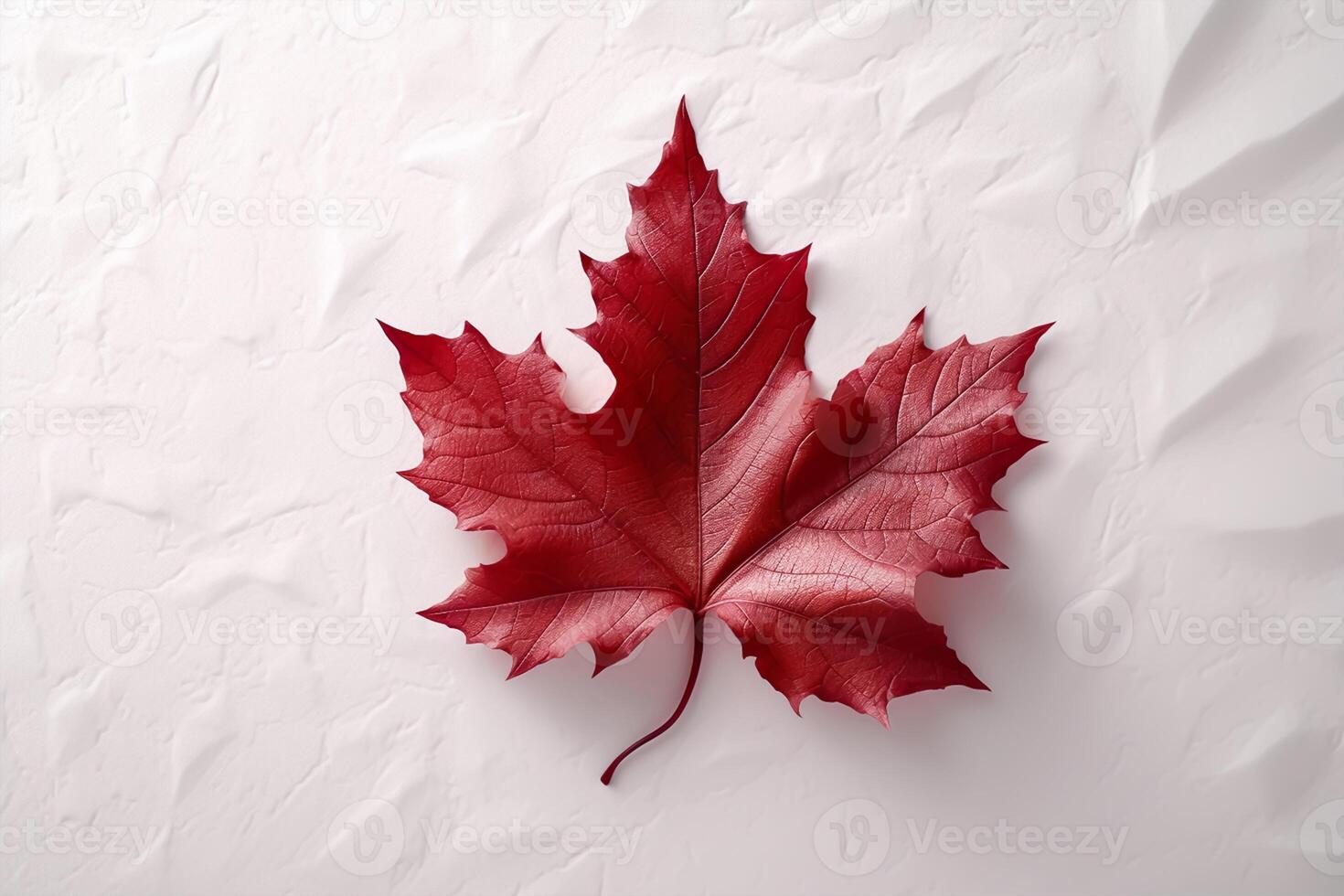 content Canada journée rouge soie érable feuille sur blanc texturé mur, copie espace. génératif ai photo