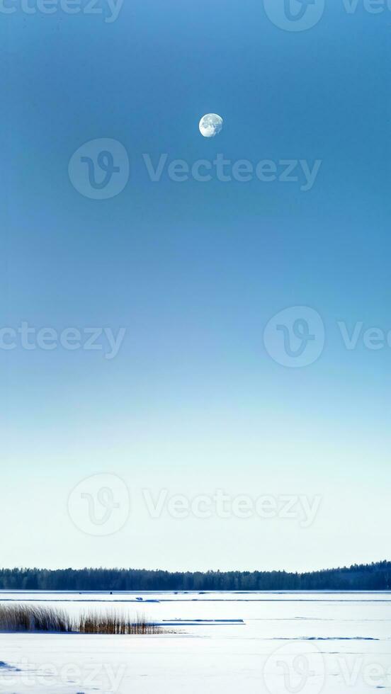 verticale image, troisième trimestre croissant lune dans du froid bleu Couleur ciel avec blanc paysage de neige, la glace Lac et pin forêt, crépuscule, Arctique cercle zone, la nature fond d'écran Contexte photo