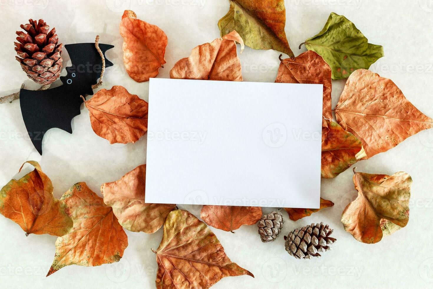 bannière. moderne Contexte avec l'automne feuilles et chauve souris. Halloween avec copie espace pour texte. photo