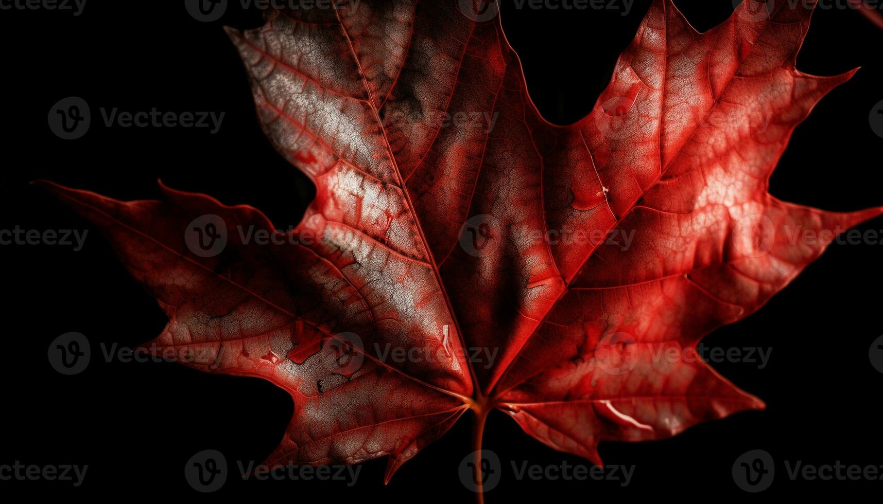 vibrant l'automne érable feuille, beauté dans la nature généré par ai photo