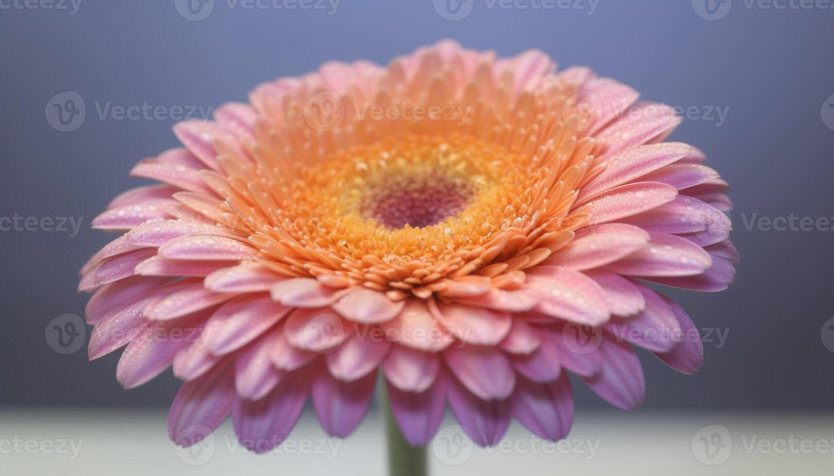 vibrant gerbera Marguerite fleurir, une cadeau de l'amour généré par ai photo