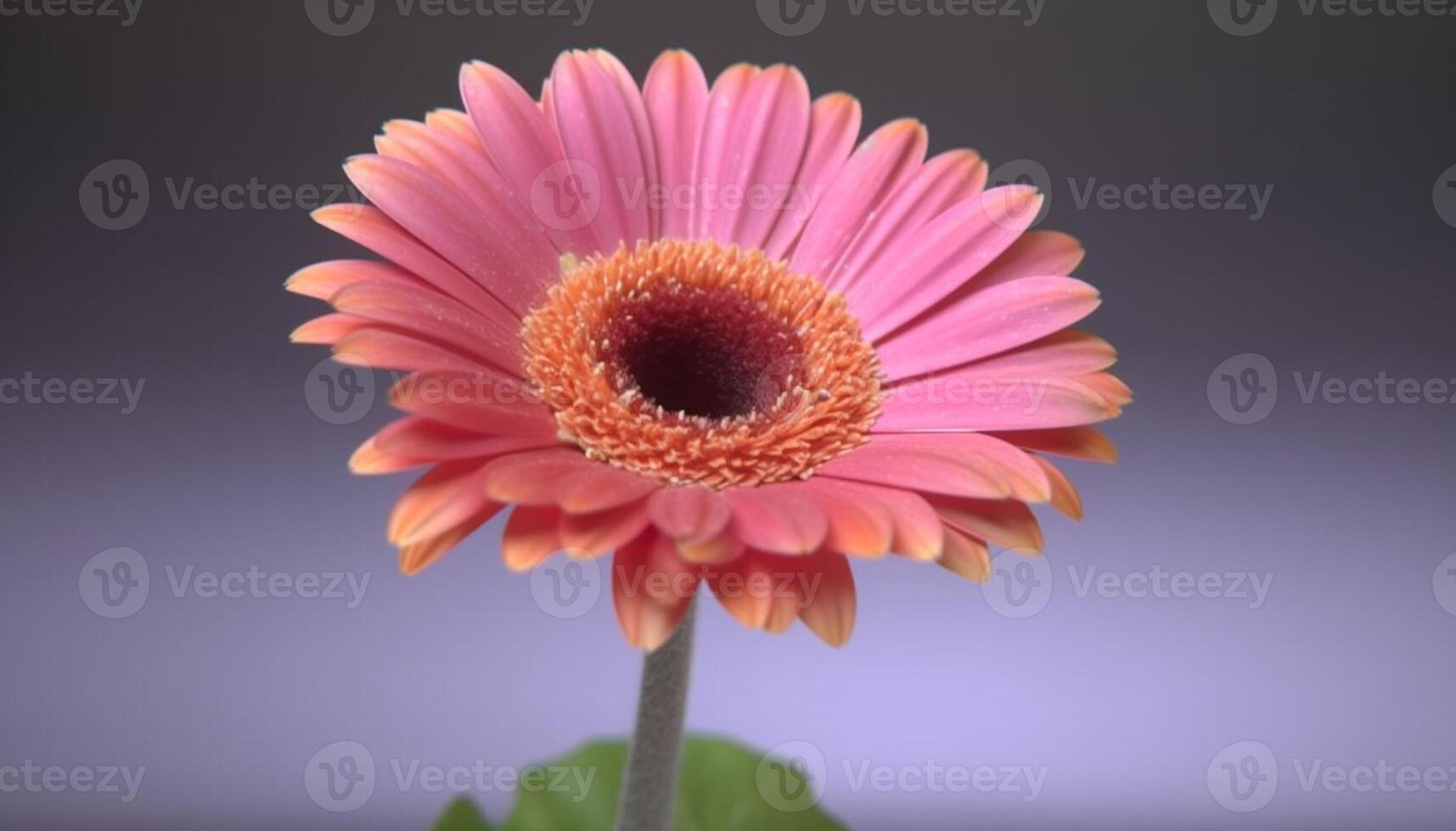 vibrant bouquet vitrines beauté dans la nature printemps couleurs et croissance généré par ai photo