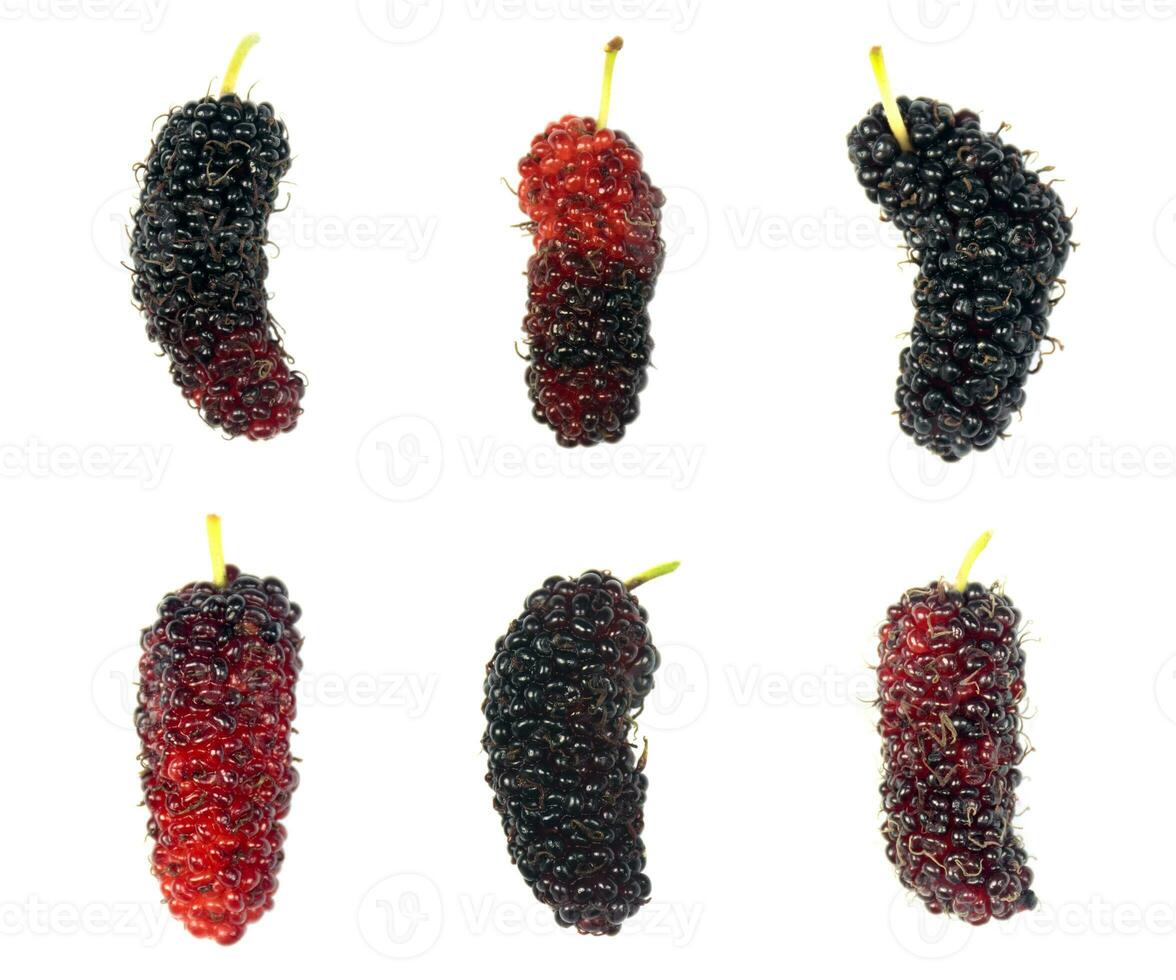 Frais mûre fruit photo