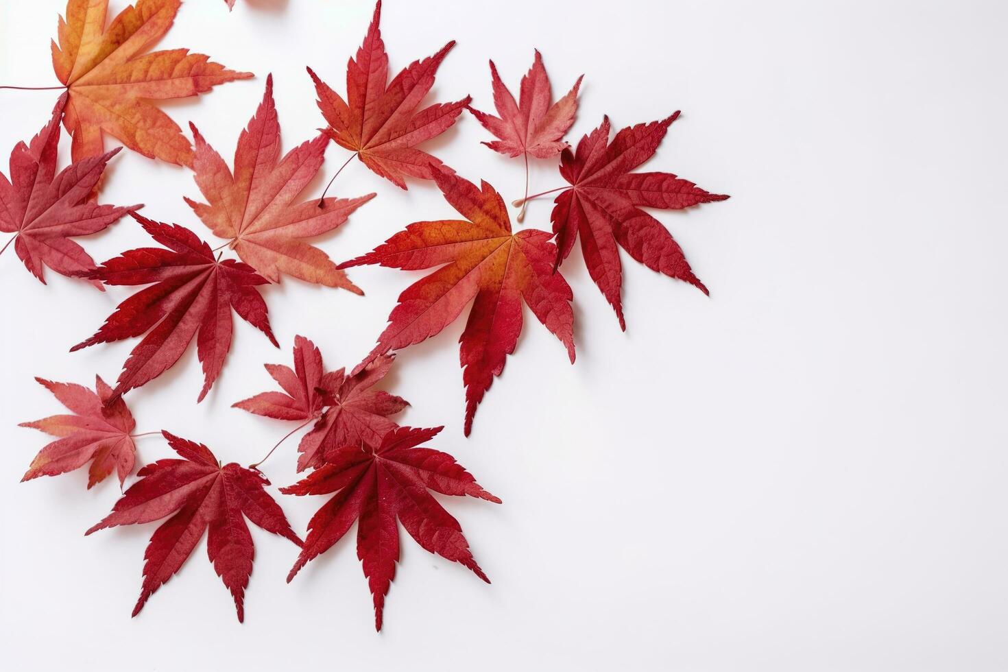 rouge érable feuilles isolé sur blanc arrière-plan, produire ai photo