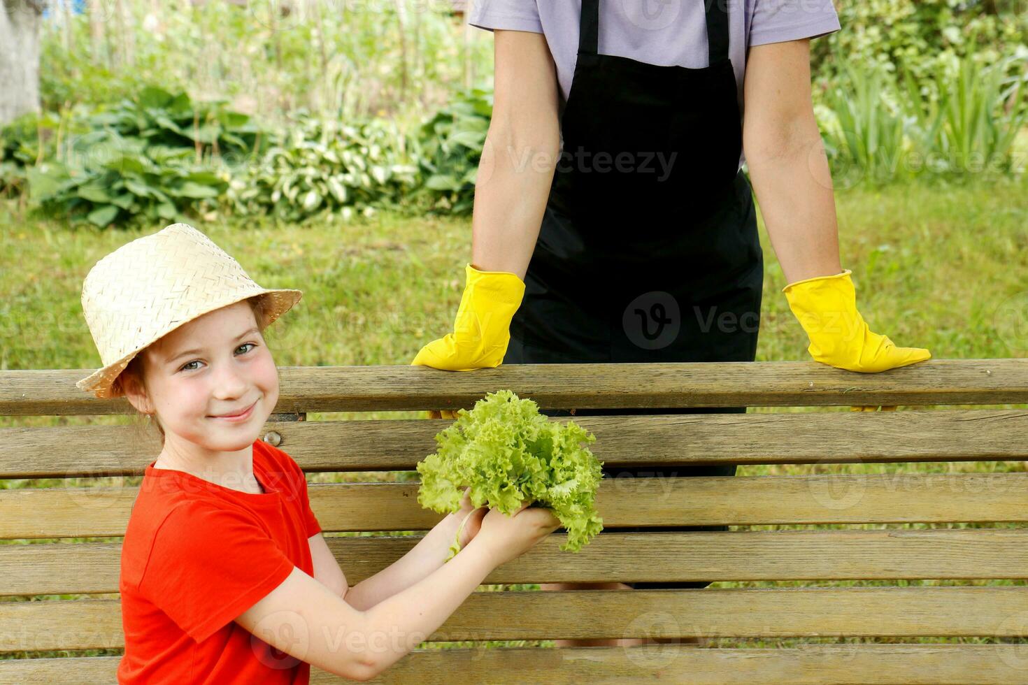 une charmant fille dans une paille chapeau est assis sur une banc dans le jardin et détient une fraîchement choisi salade, sa mère dans un tablier et Ménage gants des stands proche photo