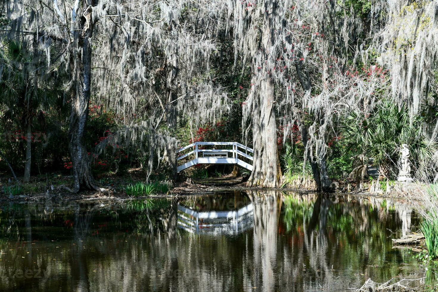 magnolia plantation vue photo