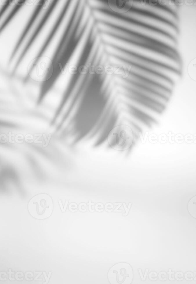 tropical feuilles Naturel ombre recouvrir sur blanc texture Contexte verticale style, pour recouvrir sur produit présentation, toile de fond et maquette photo