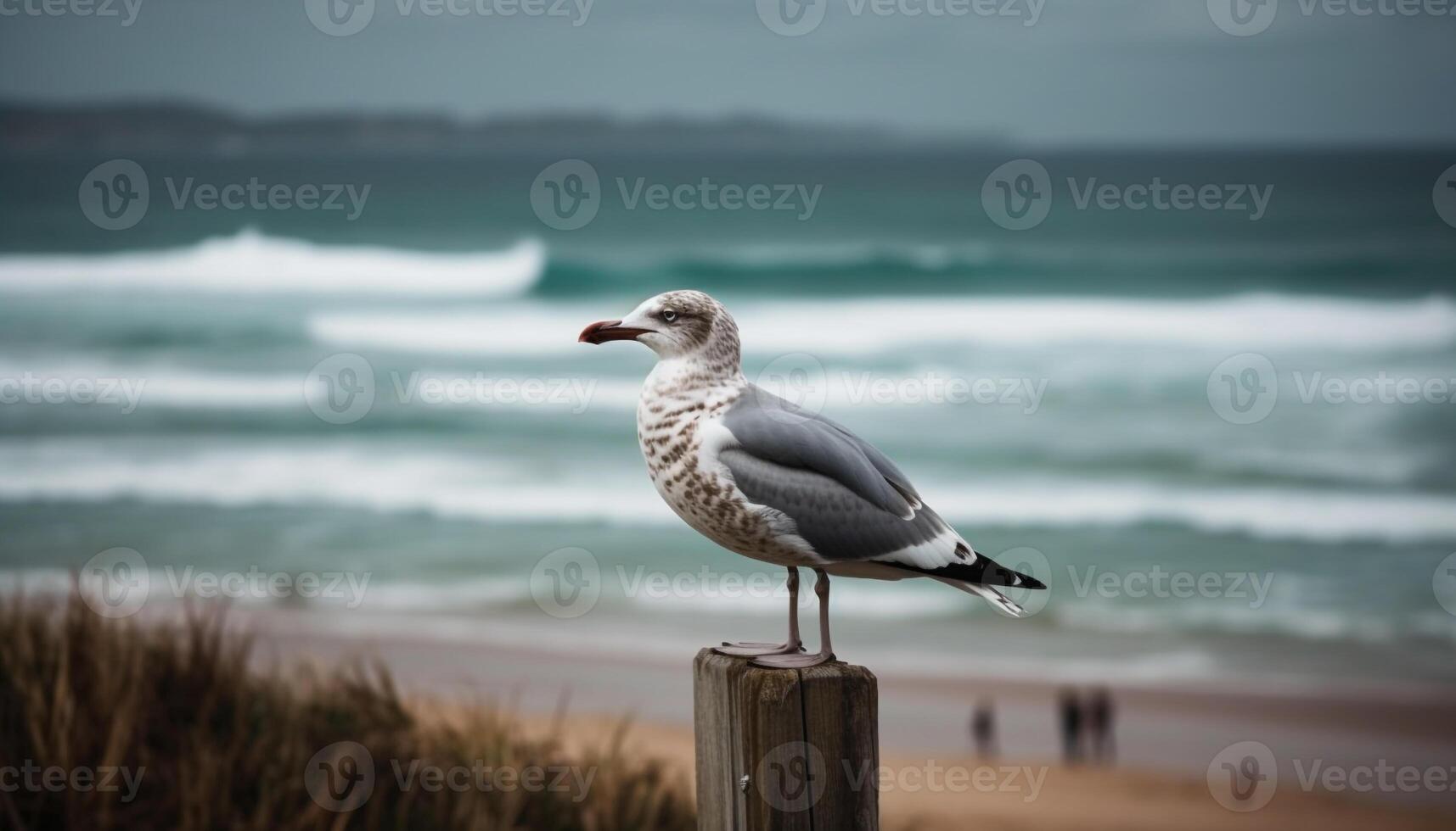 mouette permanent sur humide sable, à la recherche en dehors généré par ai photo