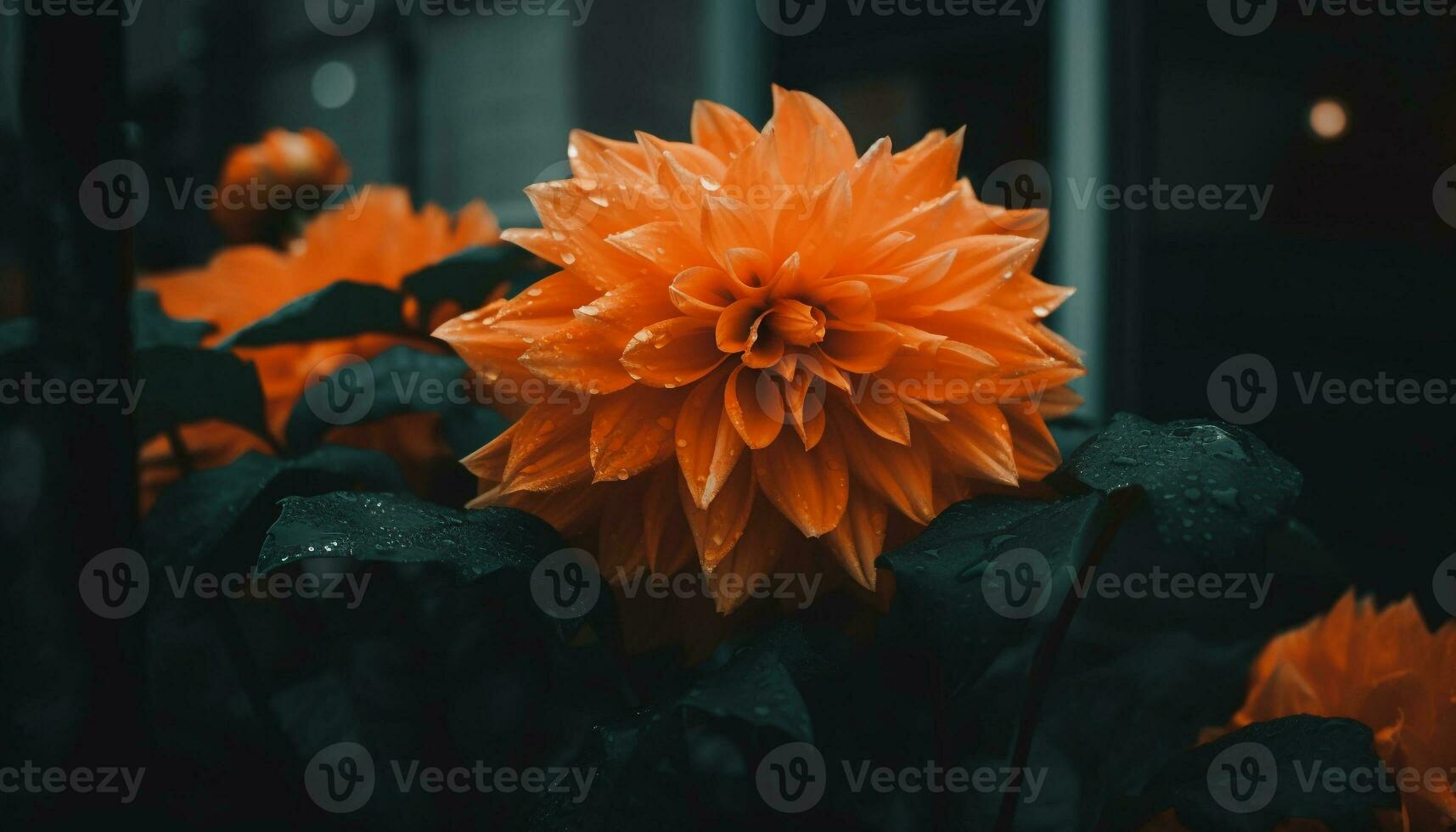 vibrant Jaune fleur tête avec humide pétales dans proche en haut généré par ai photo