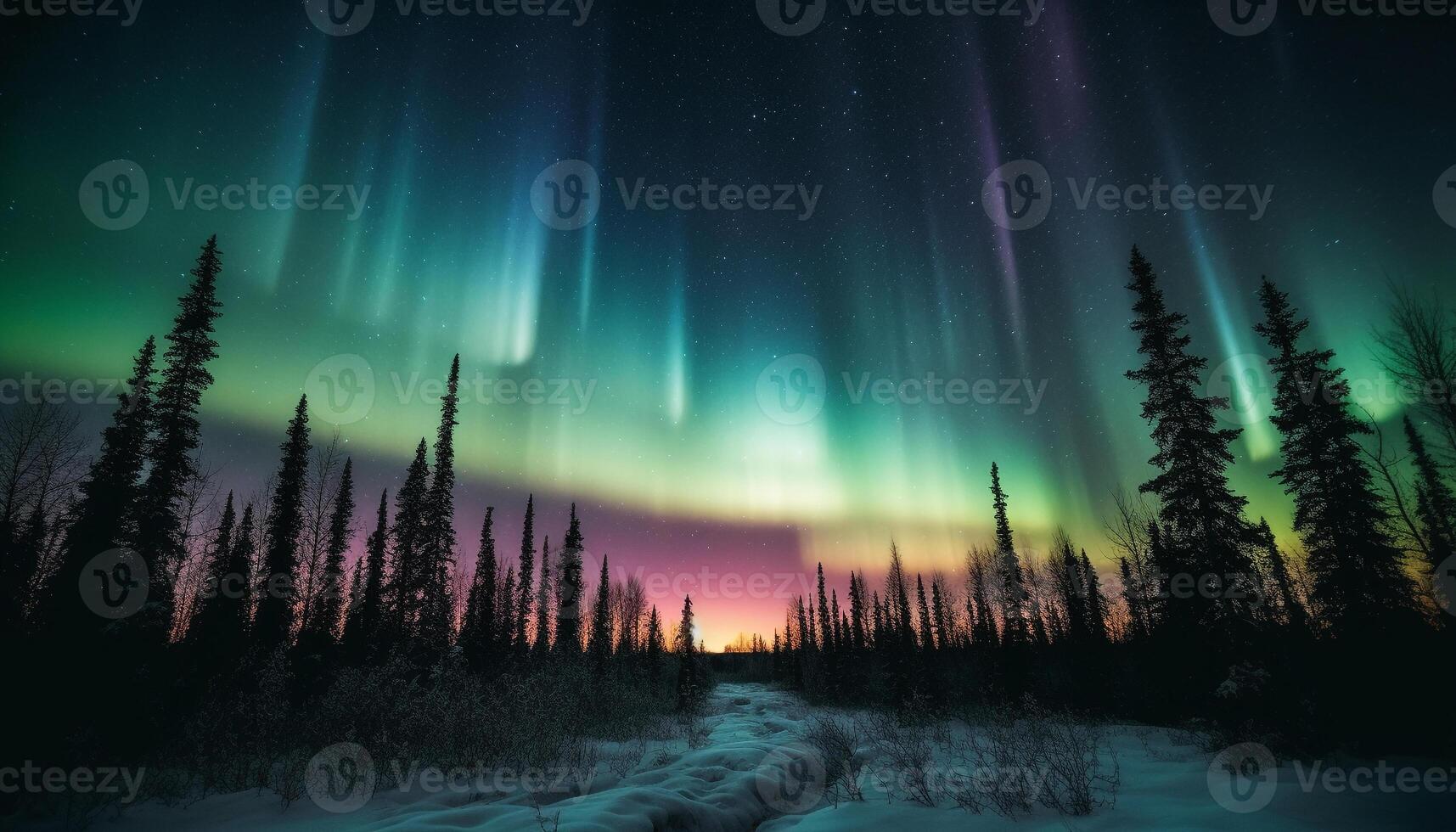 silhouette de conifère des arbres en dessous de étoilé hiver nuit ciel généré par ai photo