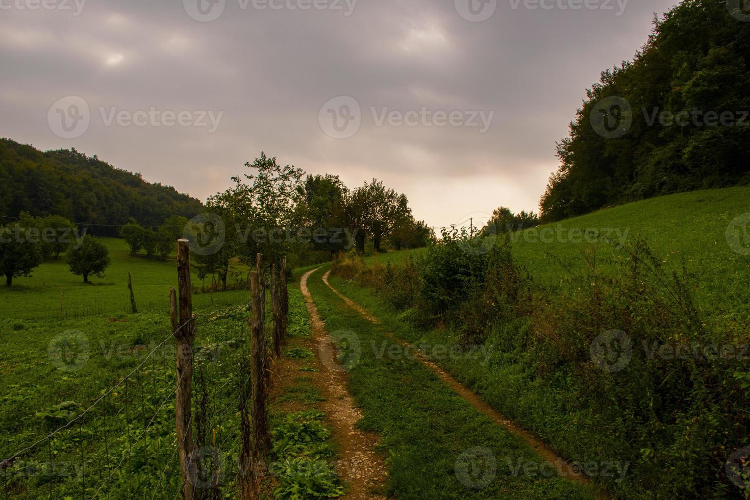 chemin entre les vertes prairies photo