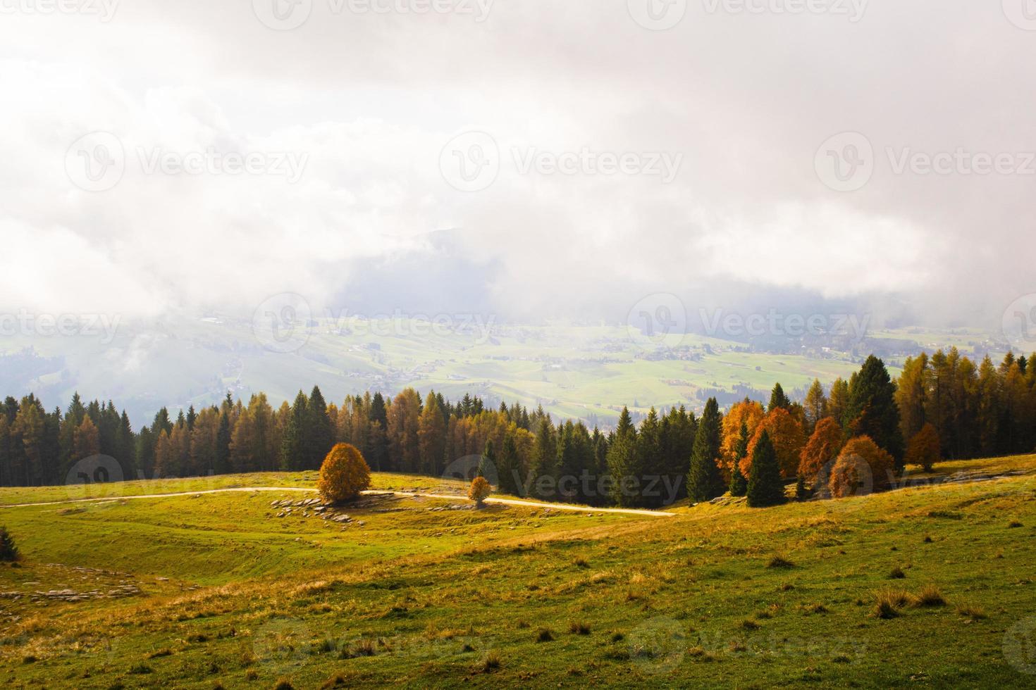 nuages au-dessus d'un pré photo