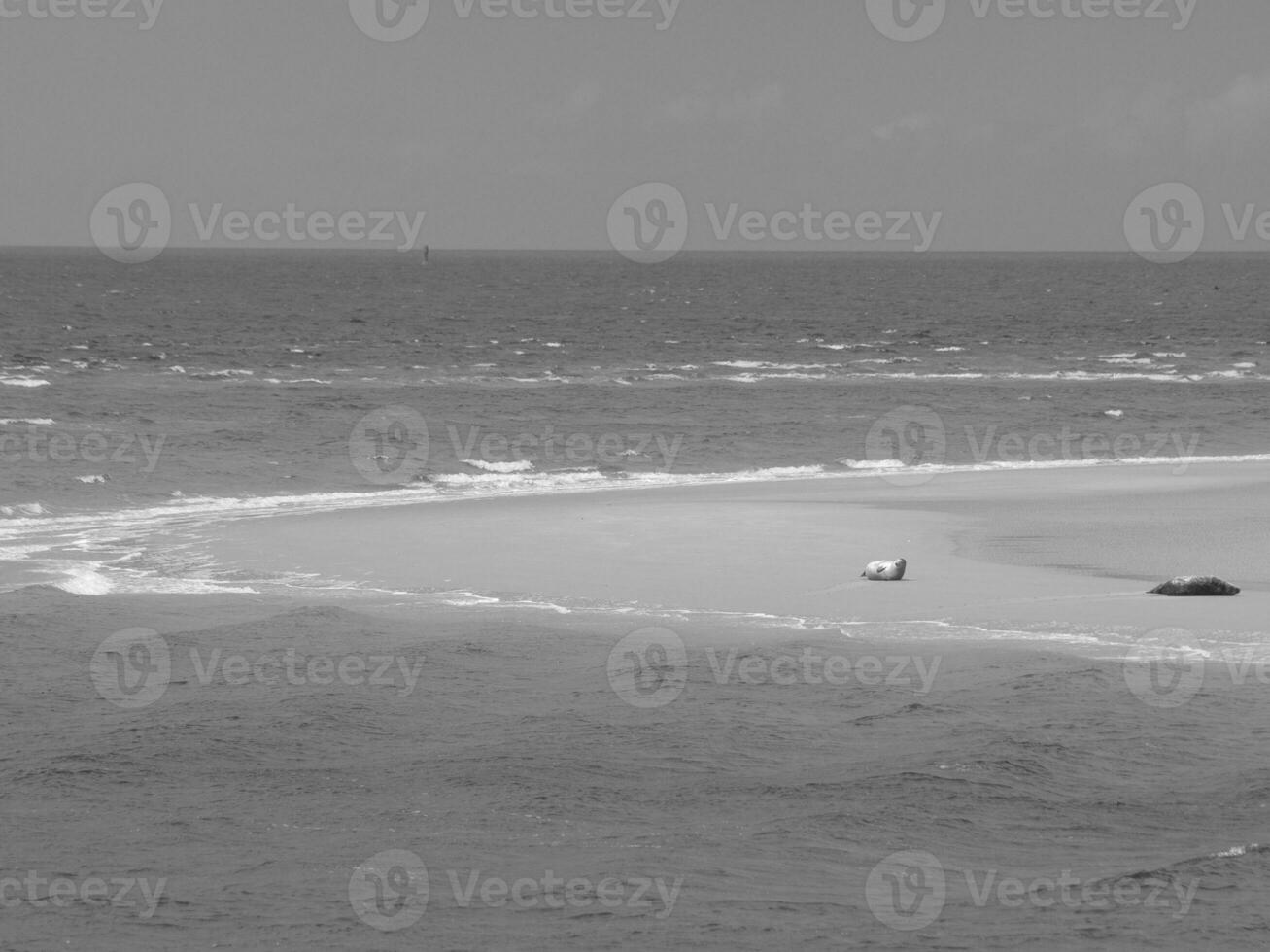 île de borkum en allemagne photo