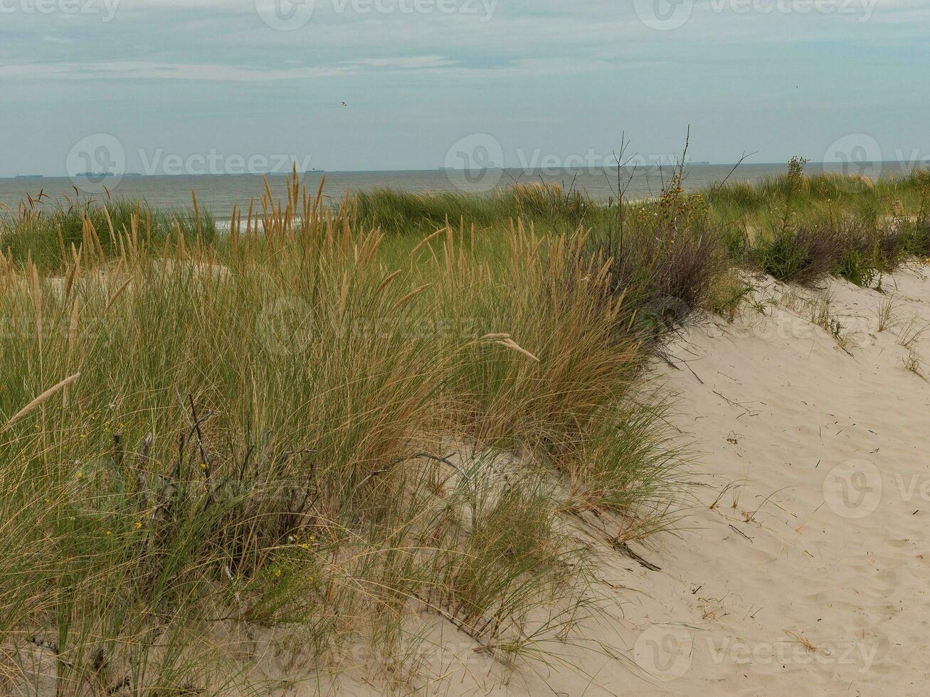 L'île de Spiekeroog en Allemagne photo