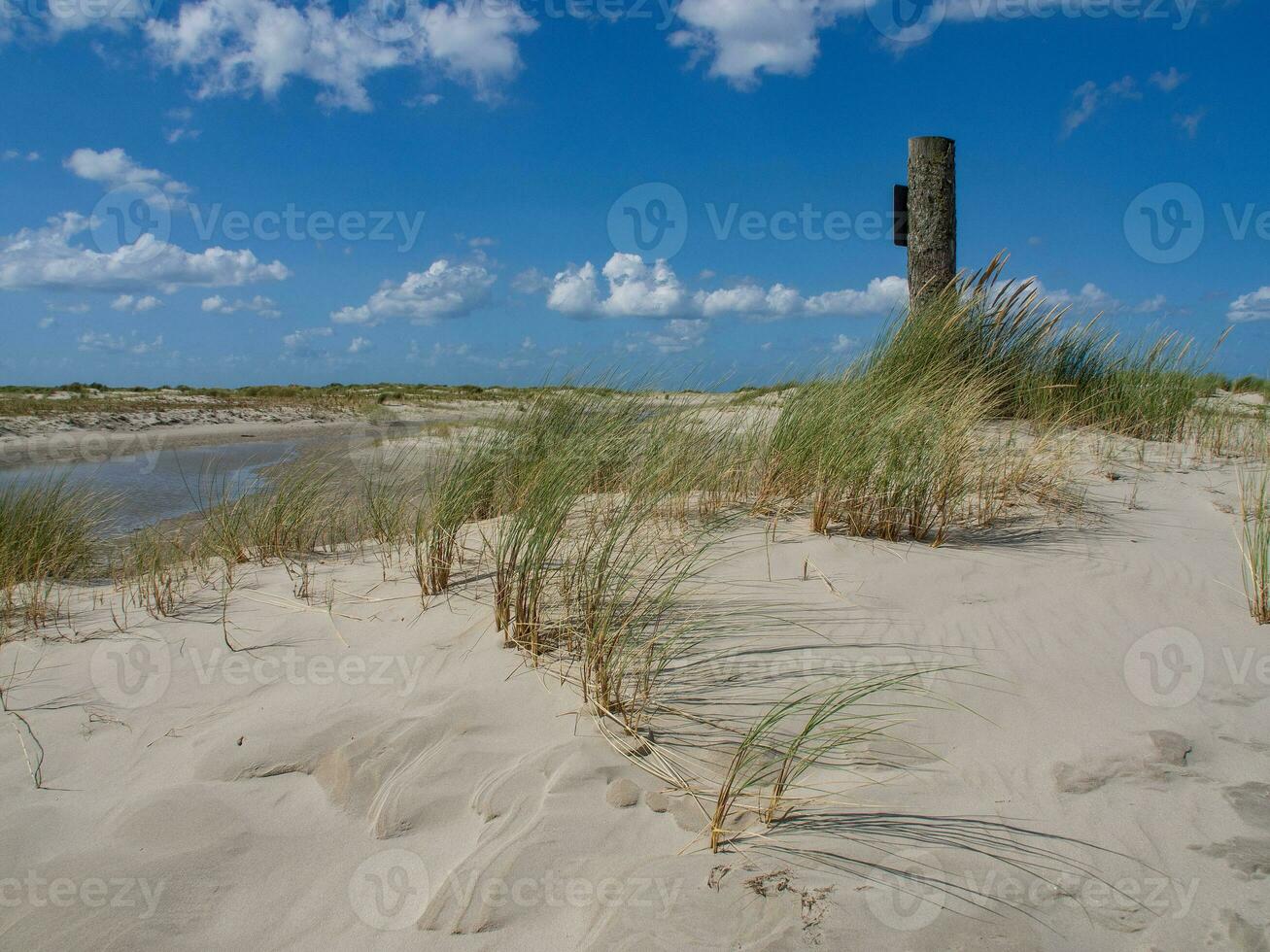 île de Spiekeroog dans la mer du Nord photo