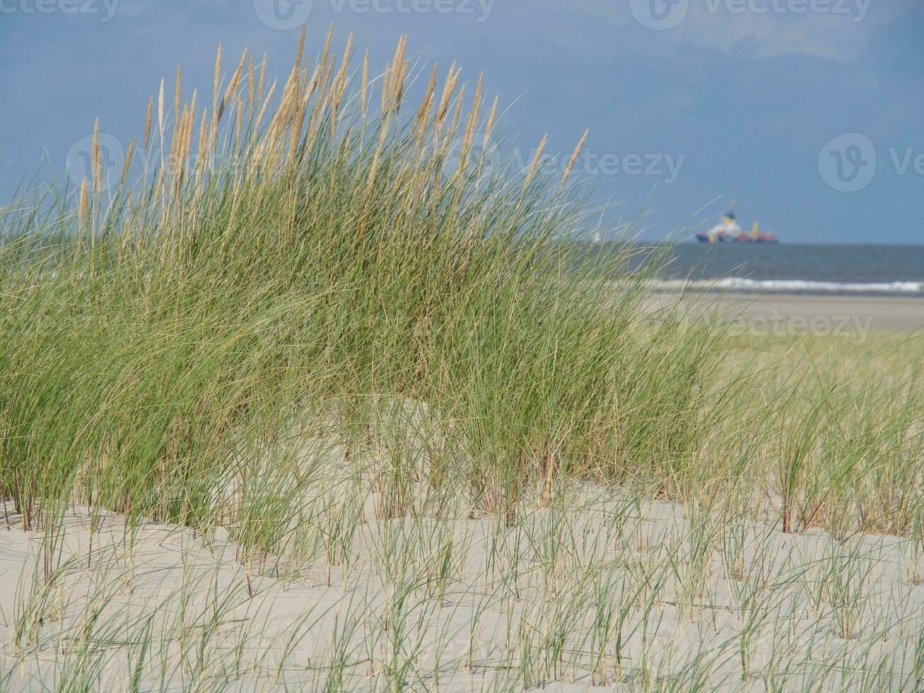 île de Spiekeroog dans la mer du Nord photo