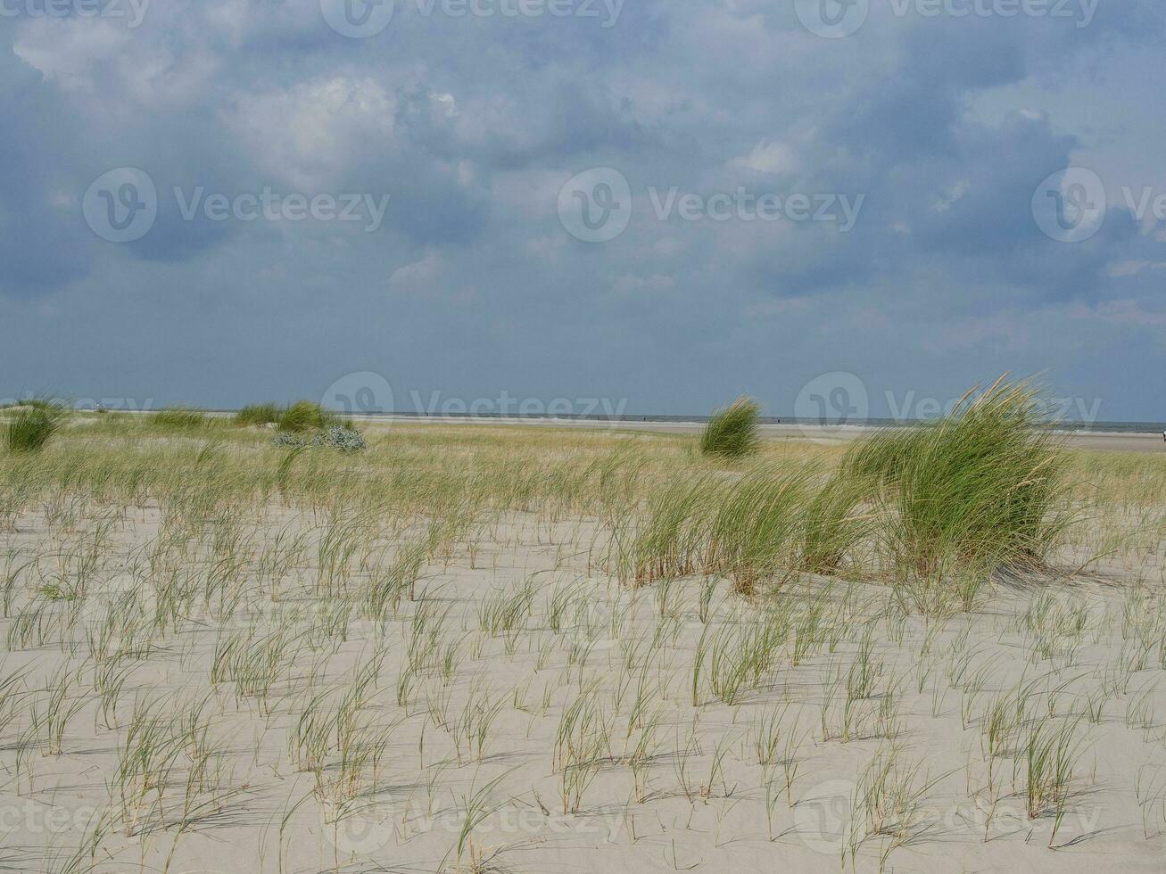 île de Spiekeroog dans la mer du Nord photo