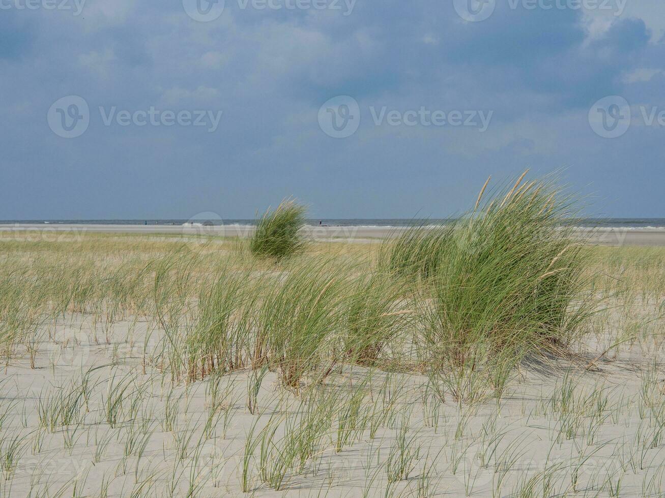 île de Spiekeroog dans la mer du Nord photo