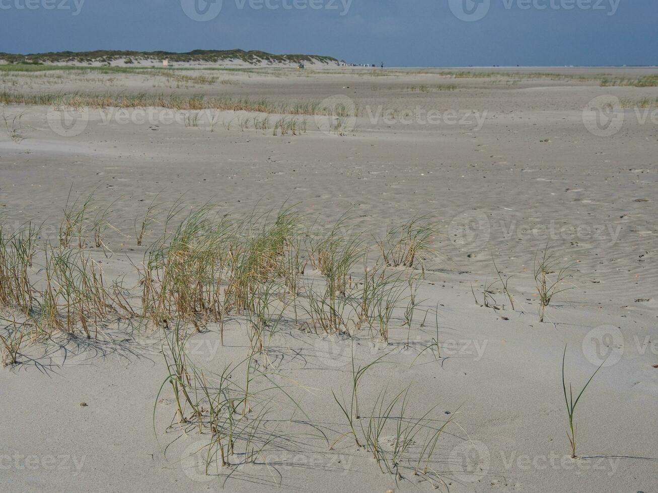 île de Spiekeroog dans la mer du Nord photo