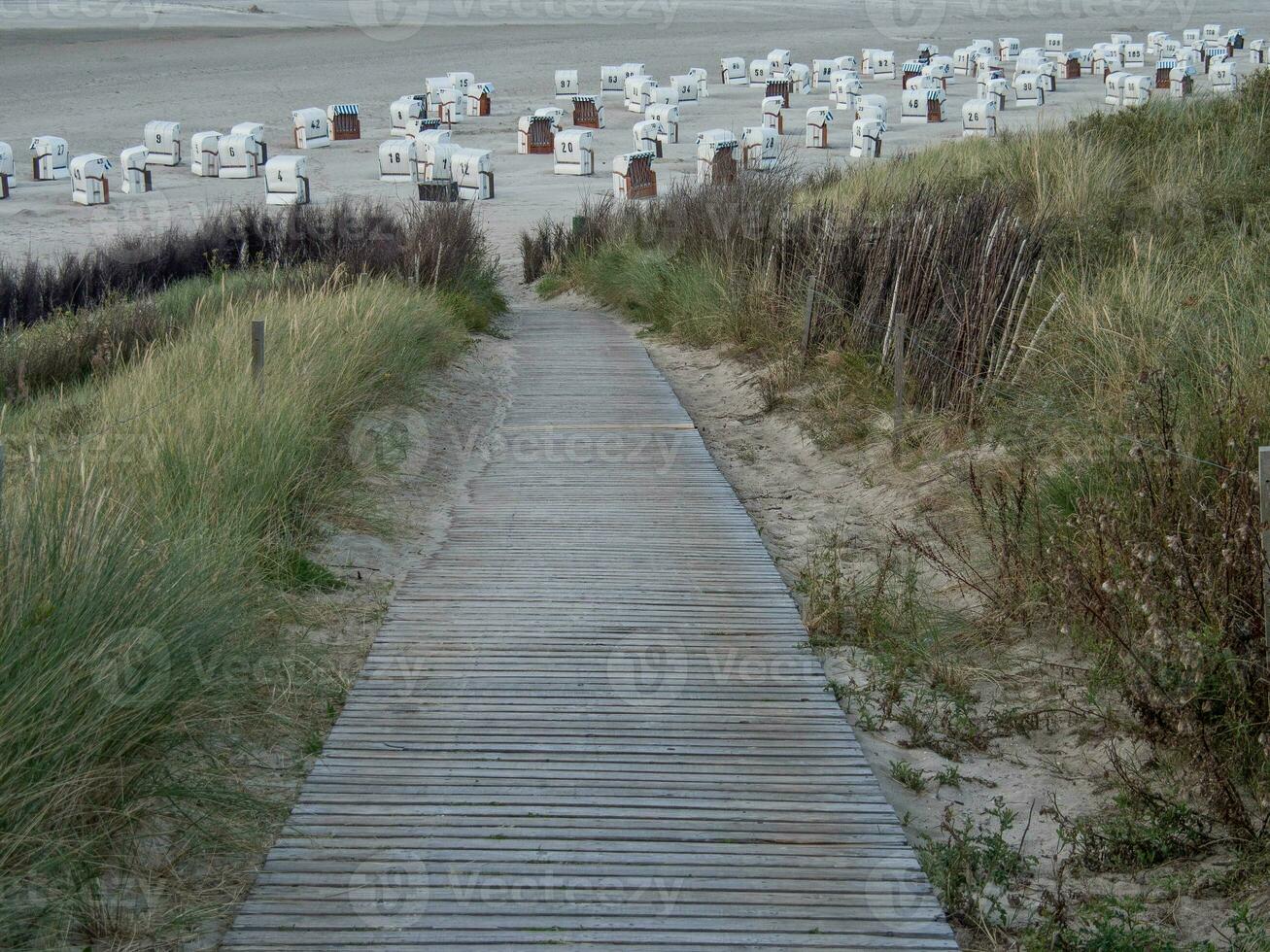 le allemand île de Spiekeroog photo