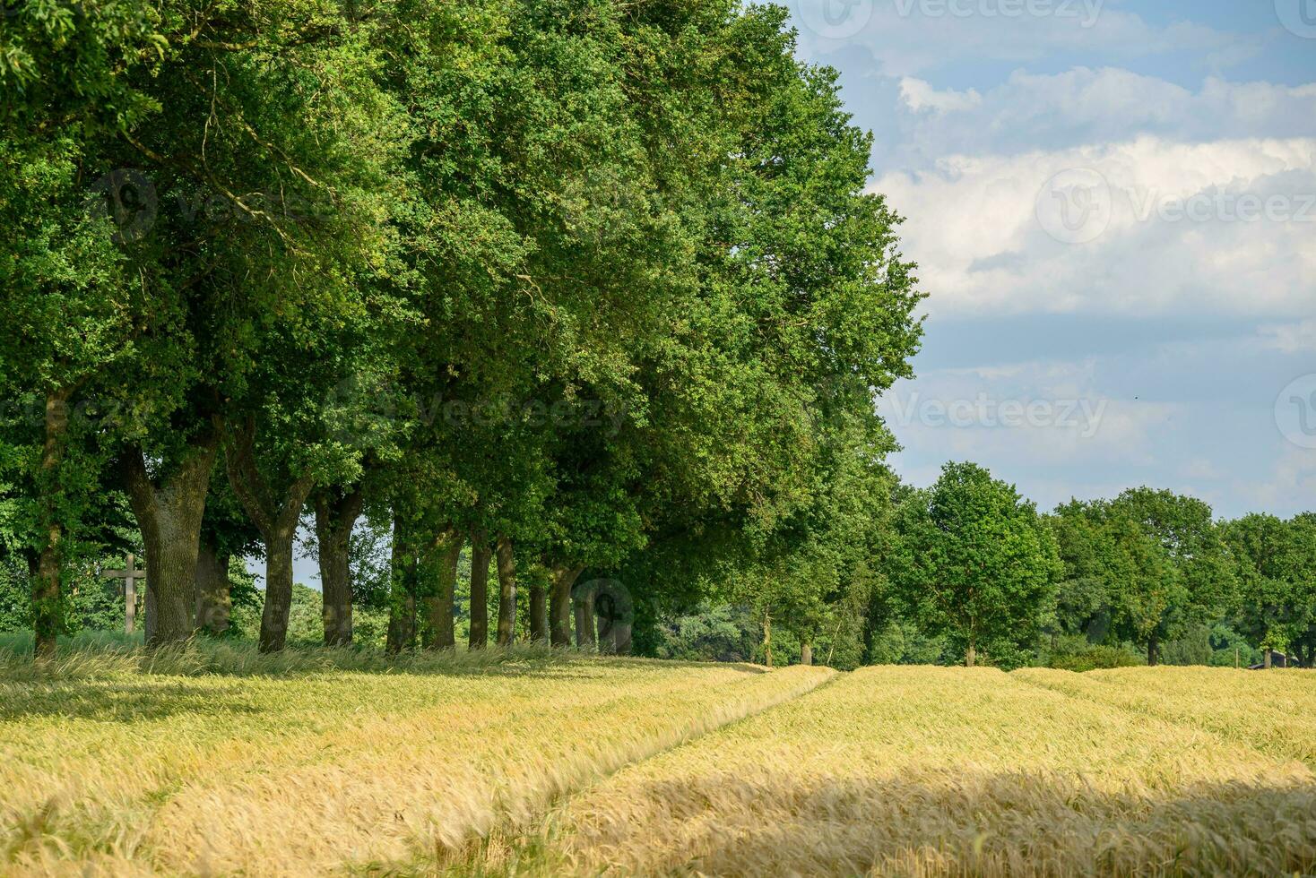 le village de weseke en allemagne photo