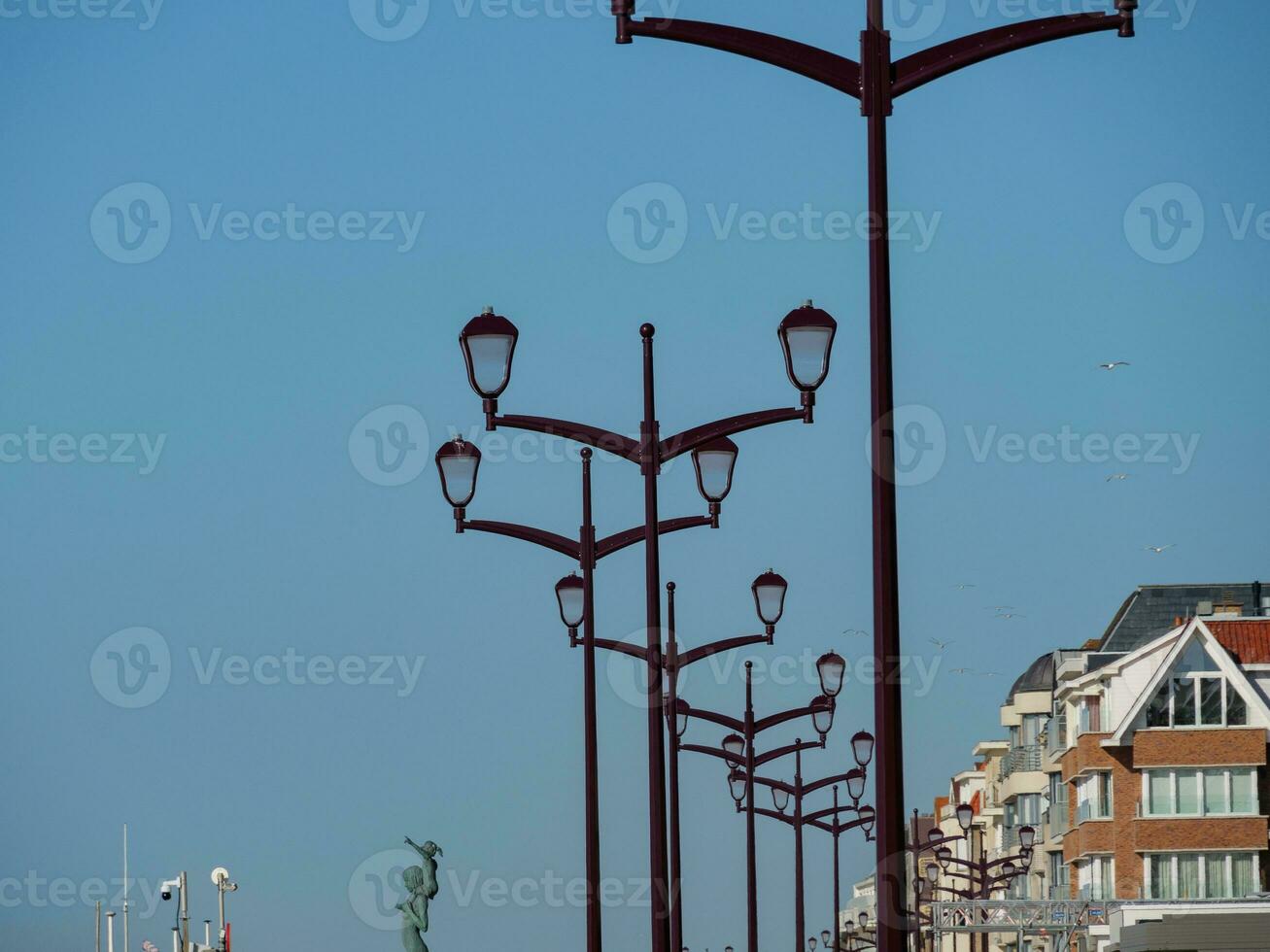 de haan à le Nord mer dans Belgique photo