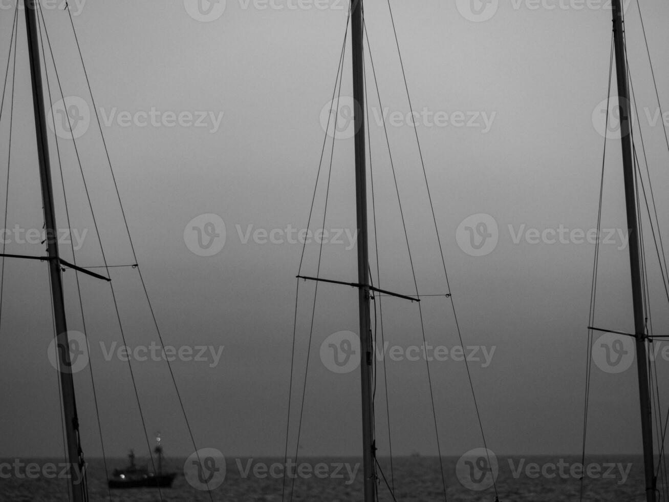 de haan à le Nord mer dans Belgique photo