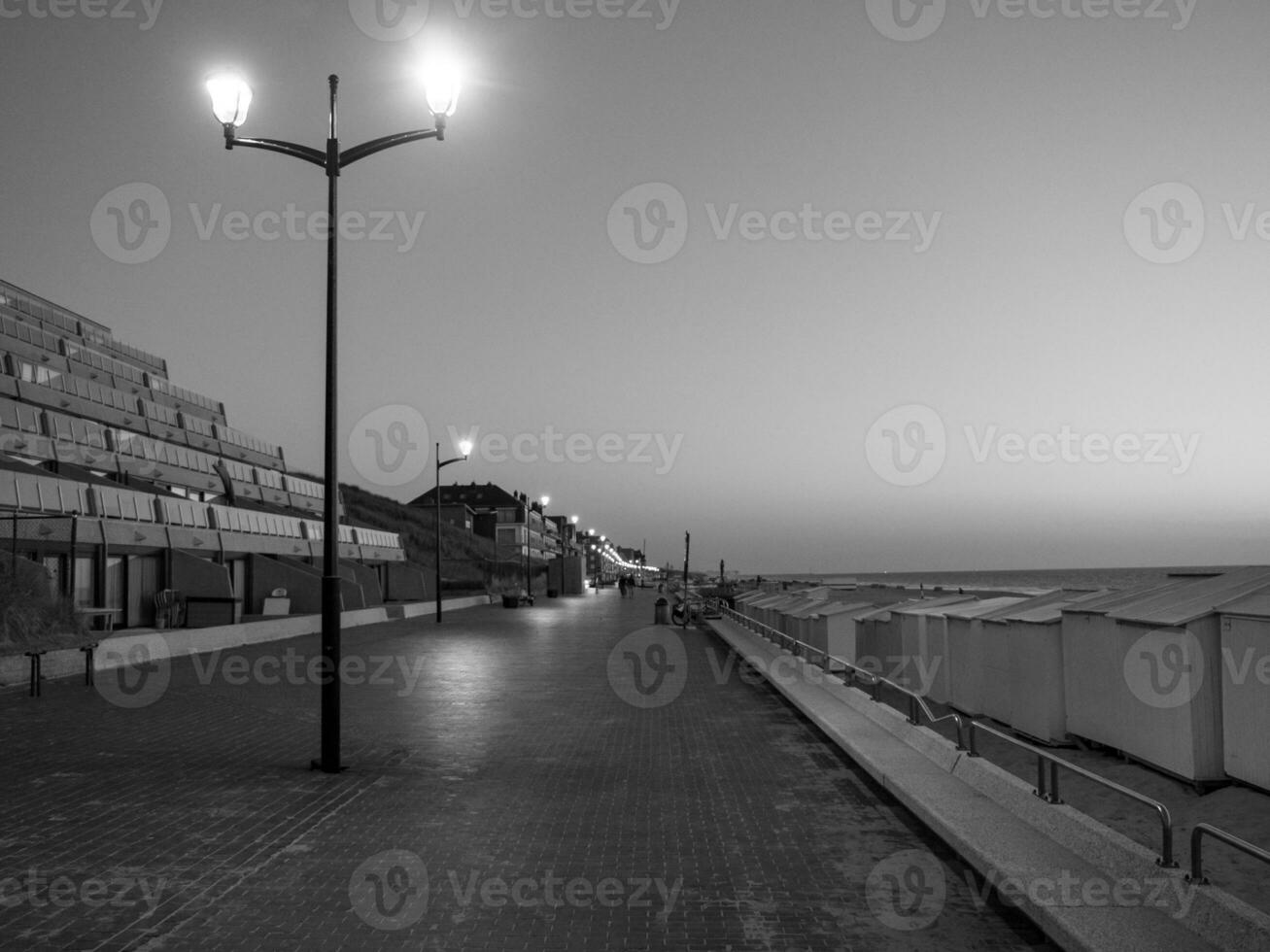 de haan à le Nord mer dans Belgique photo