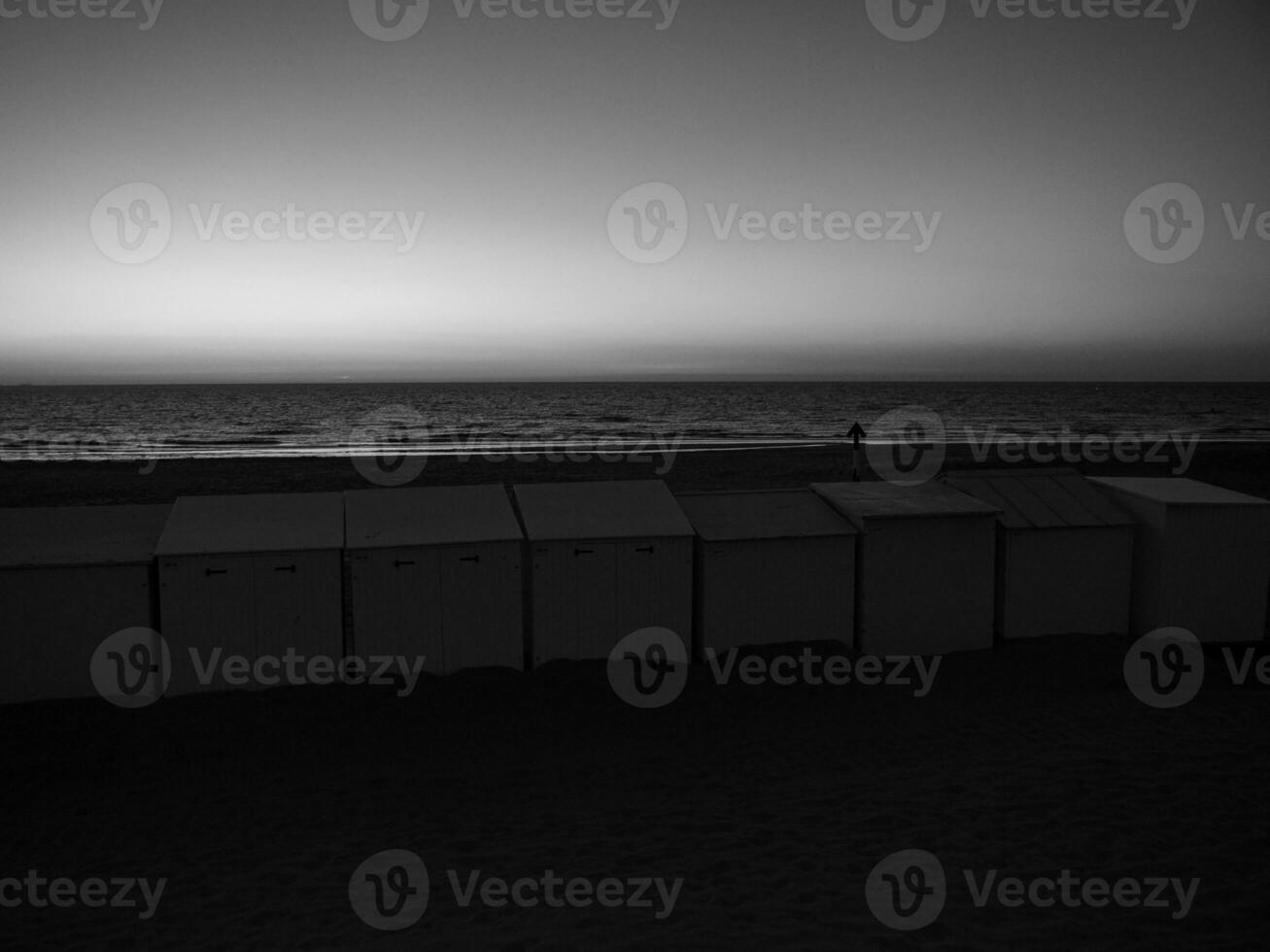 de haan à le Nord mer dans Belgique photo