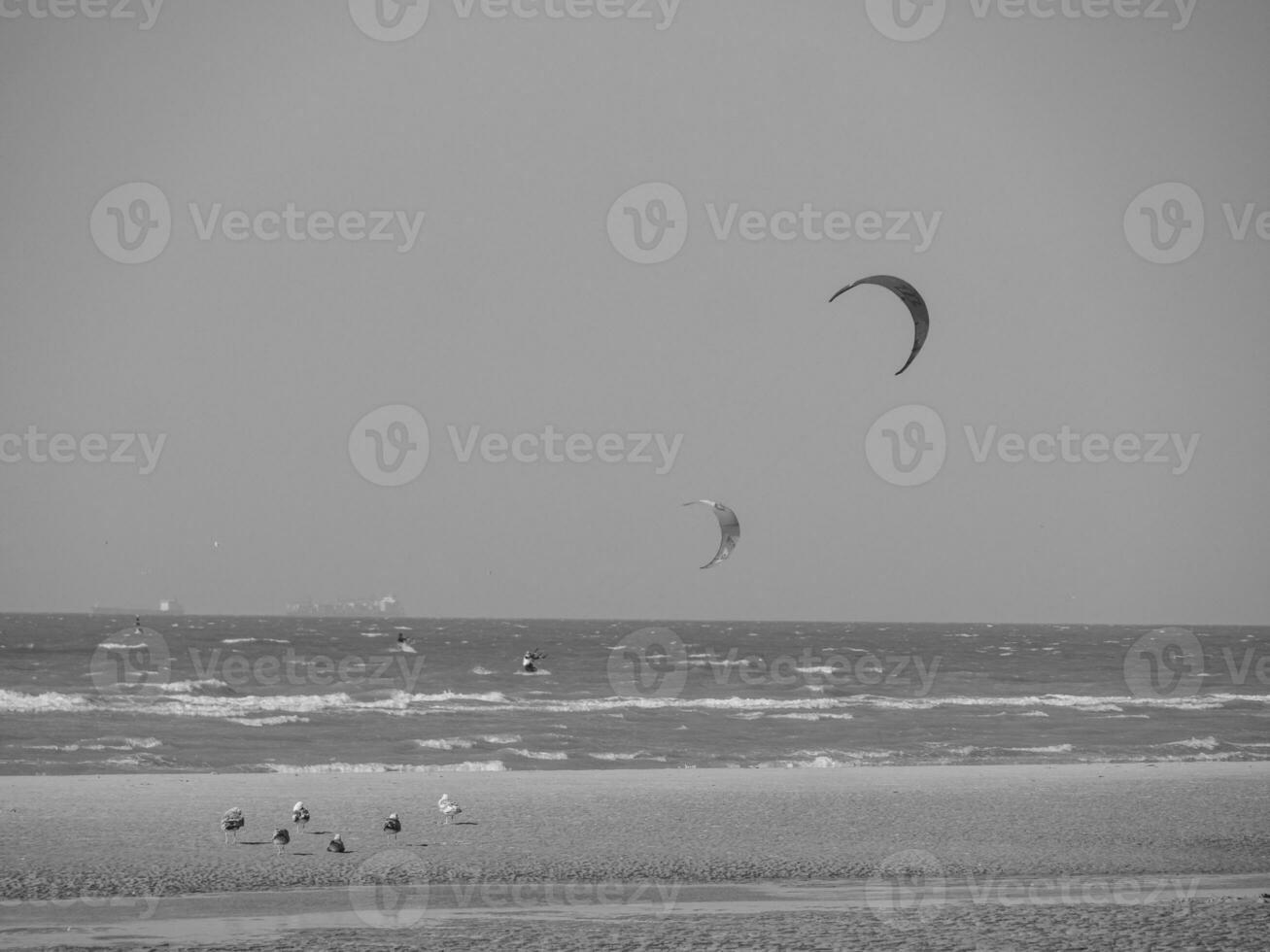 le plage de de haan à le Nord mer photo