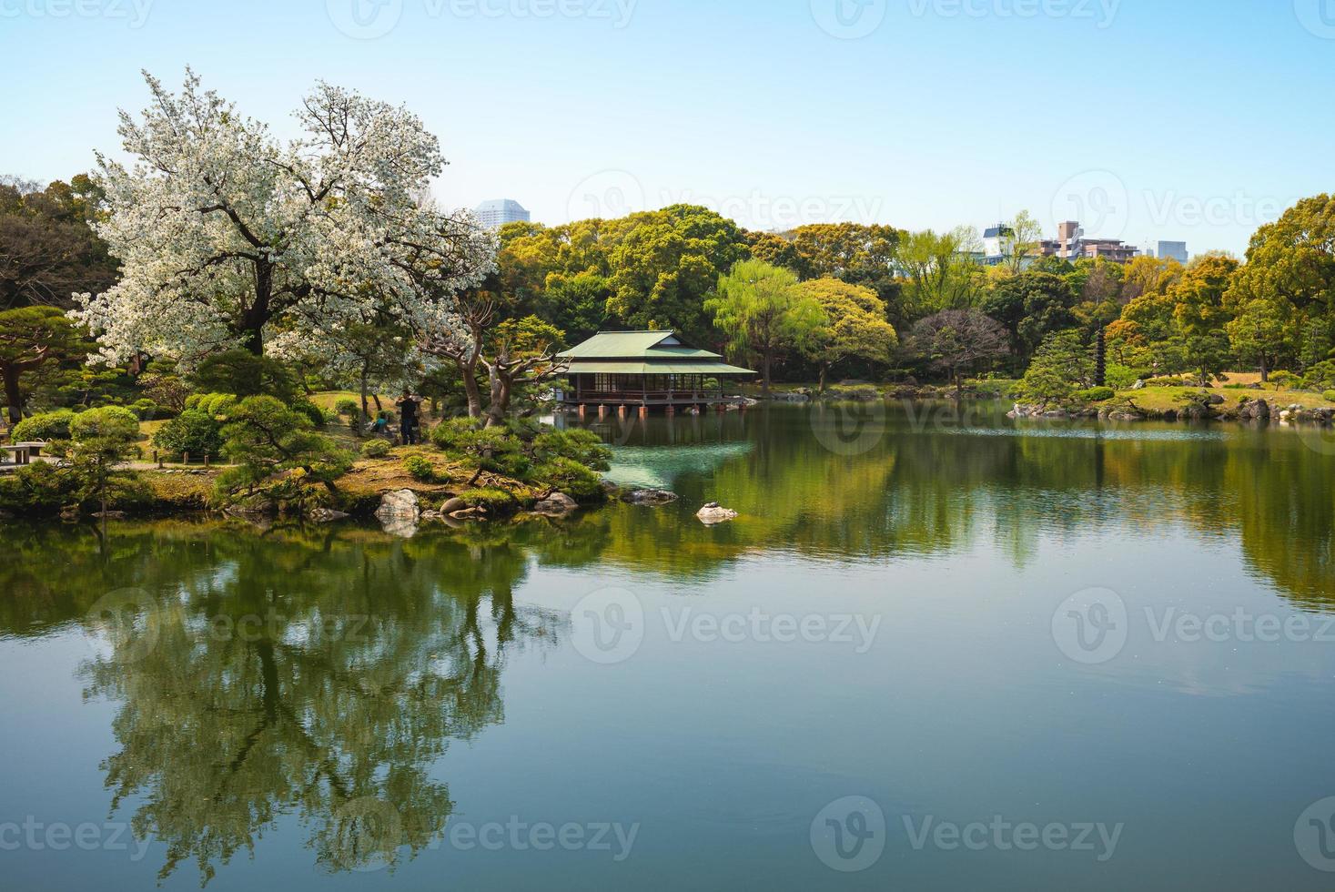 Jardin kiyosumi avec fleurs de cerisier à tokyo au japon photo