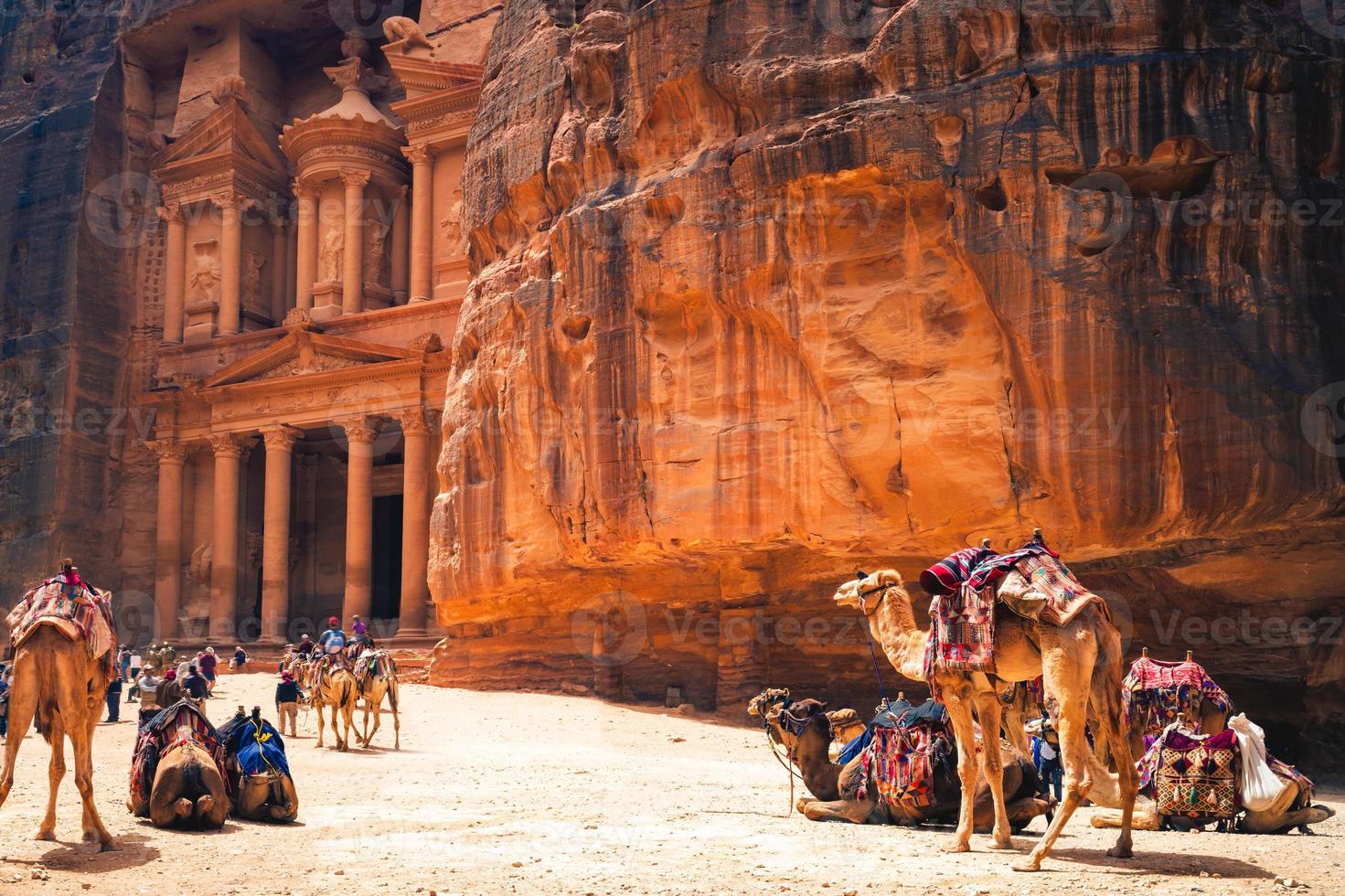 al khazneh aka le trésor avec des chameaux à petra, jordanie photo
