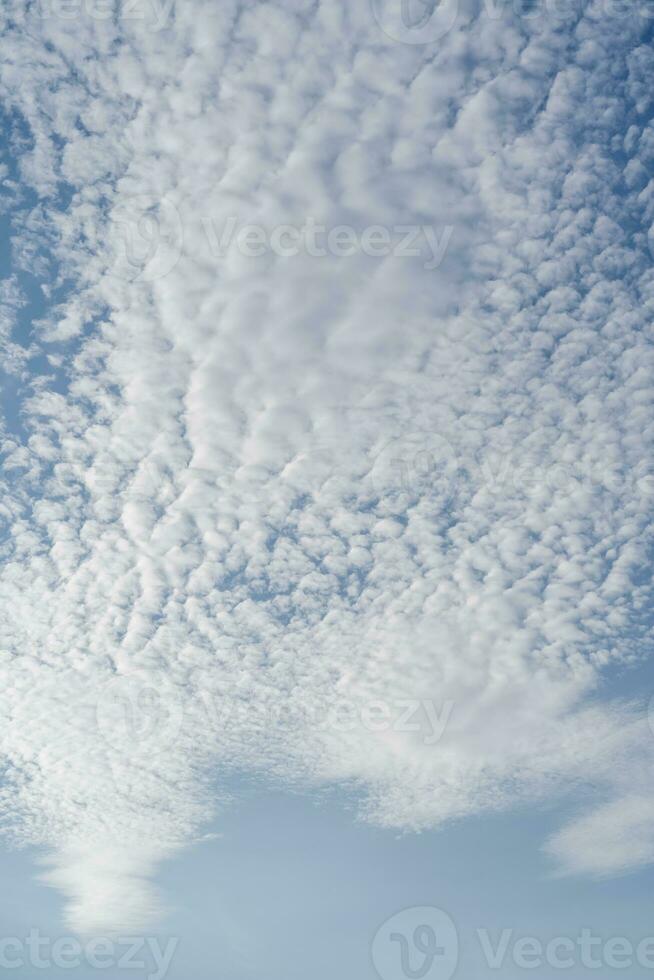 Naturel Contexte avec bleu ciel et blanc des nuages. photo