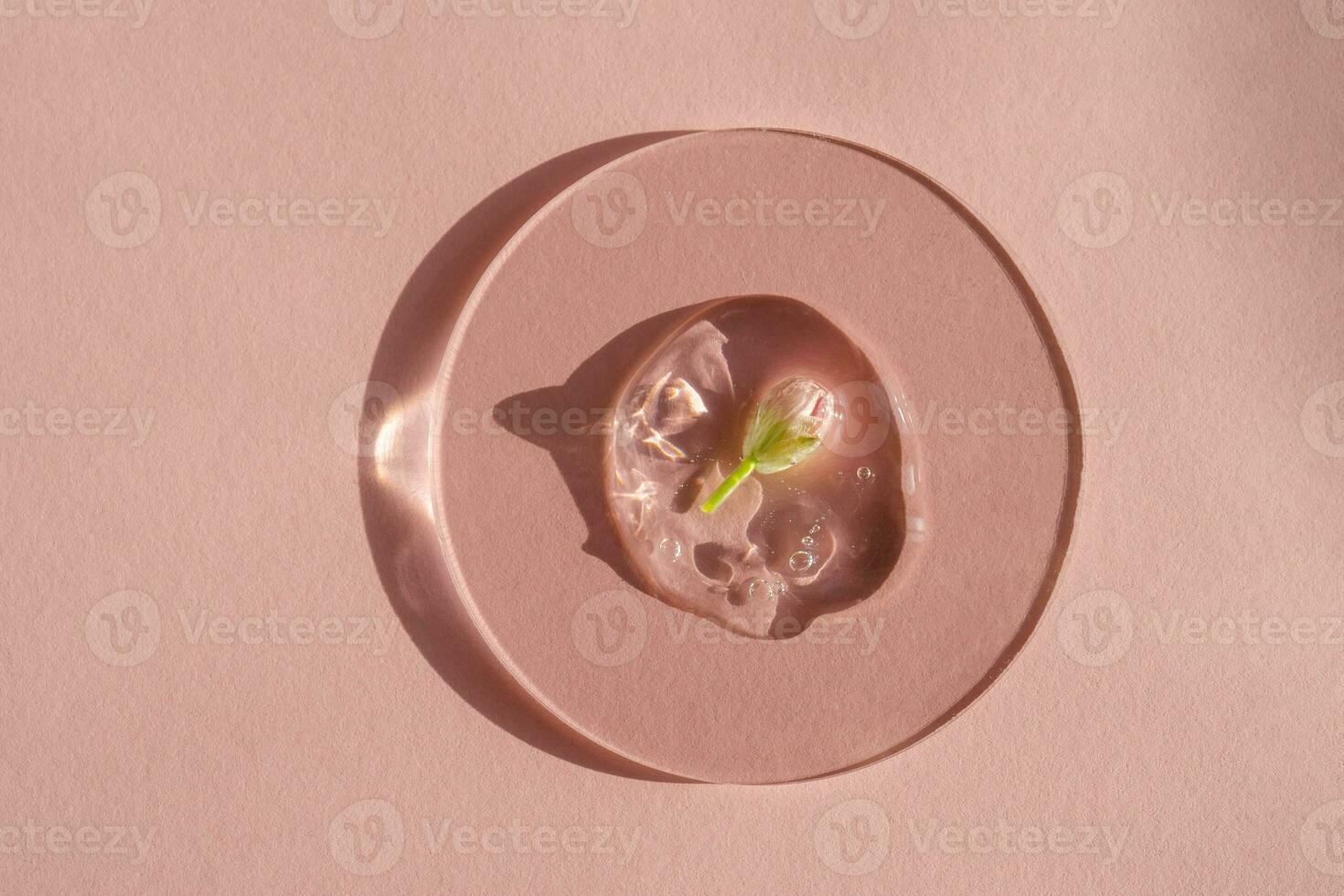 une laissez tomber de cosmétique gel avec une fleur sur une rose Contexte. photo