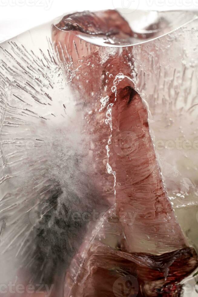 transparent blanc la glace avec fleurs congelé dans il. photo