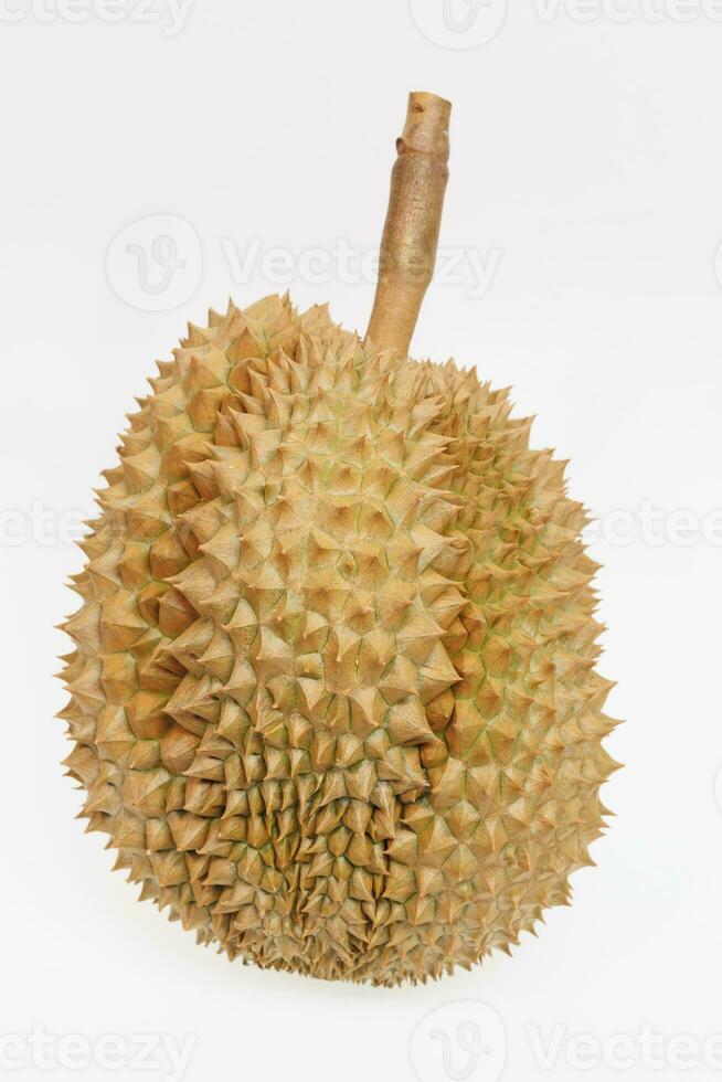 durian mois, frais durian fruit avec isolé Contexte photo