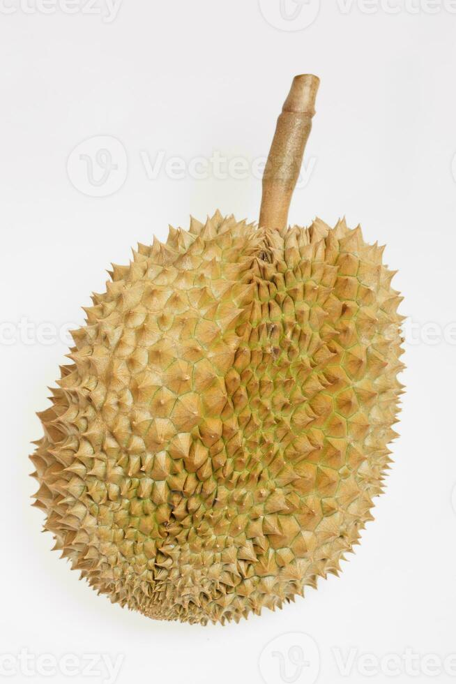 durian mois, frais durian fruit avec isolé Contexte photo