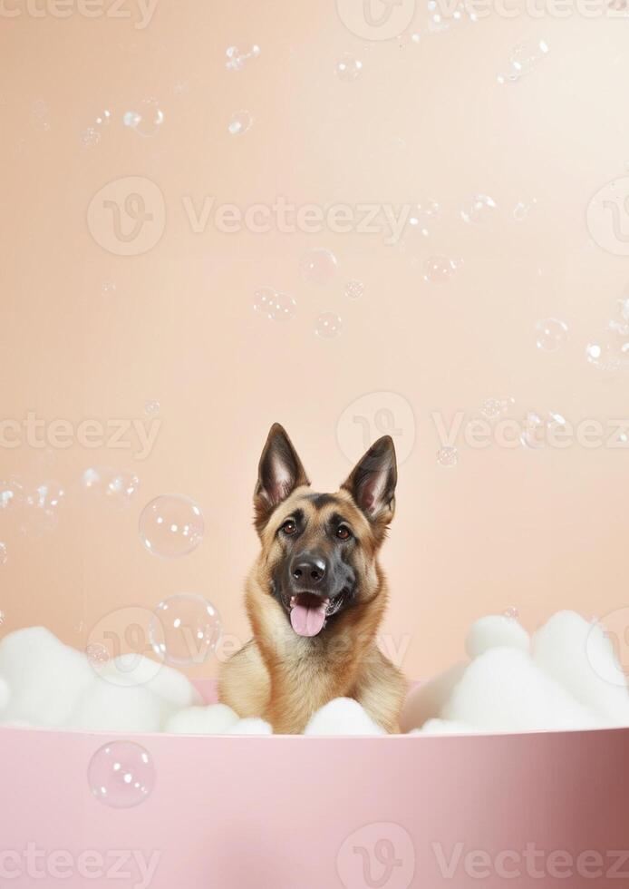 mignonne Belge berger chien dans une petit baignoire avec savon mousse et bulles, mignonne pastel couleurs, génératif ai. photo