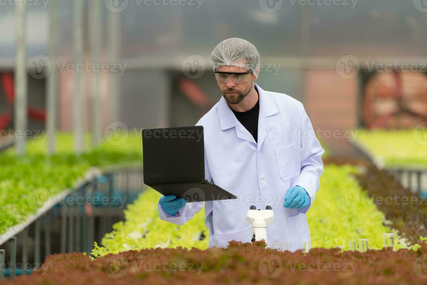 scientifiques sont conduite recherche et développement sur le cultivation de biologique des légumes dans une fermé cultiver. photo