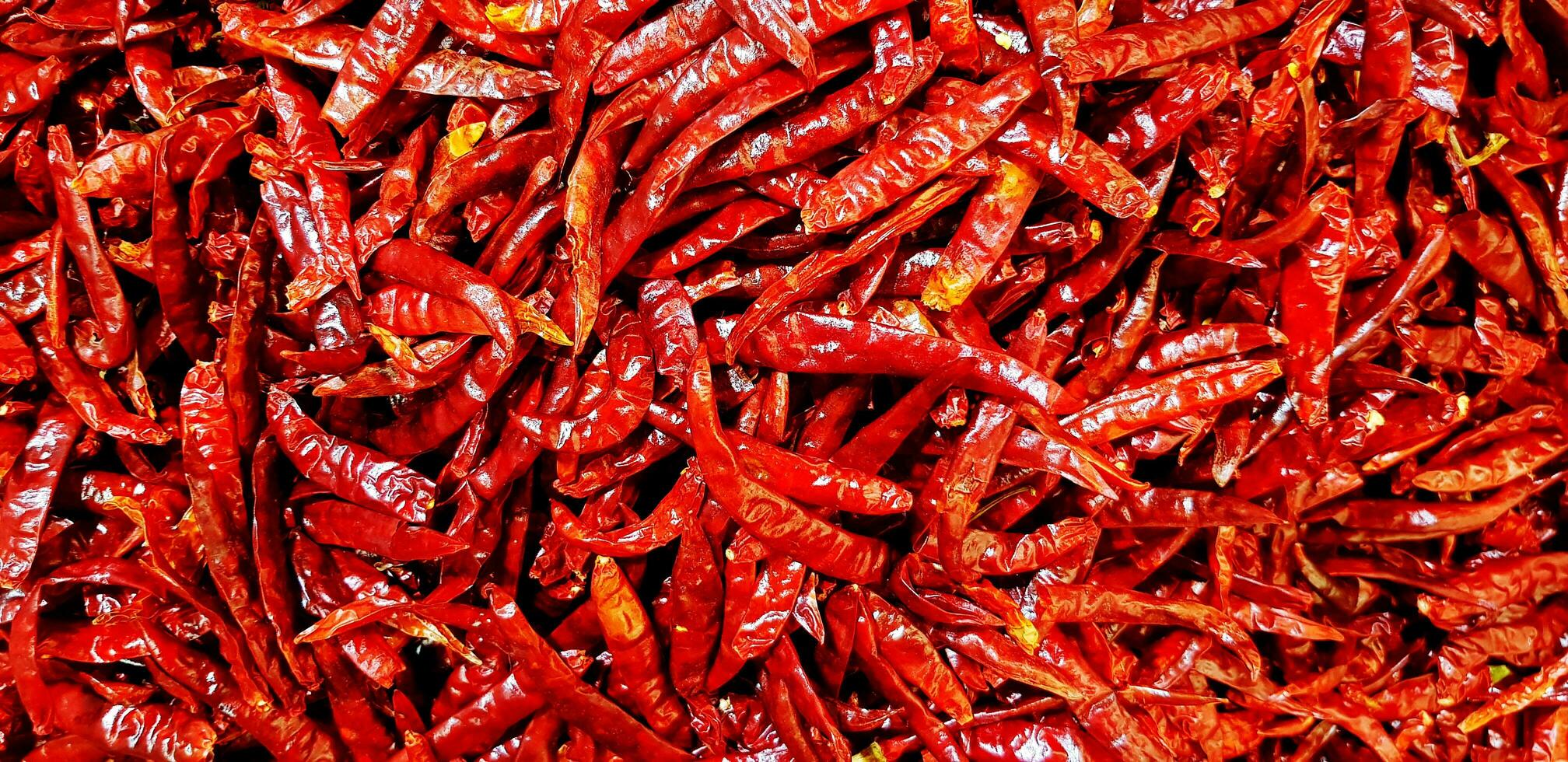 groupe de sec rouge chaud le Chili poivre pour Contexte. modèle de récolte agriculture et épicé ingrédient pour cuisine aliments. photo