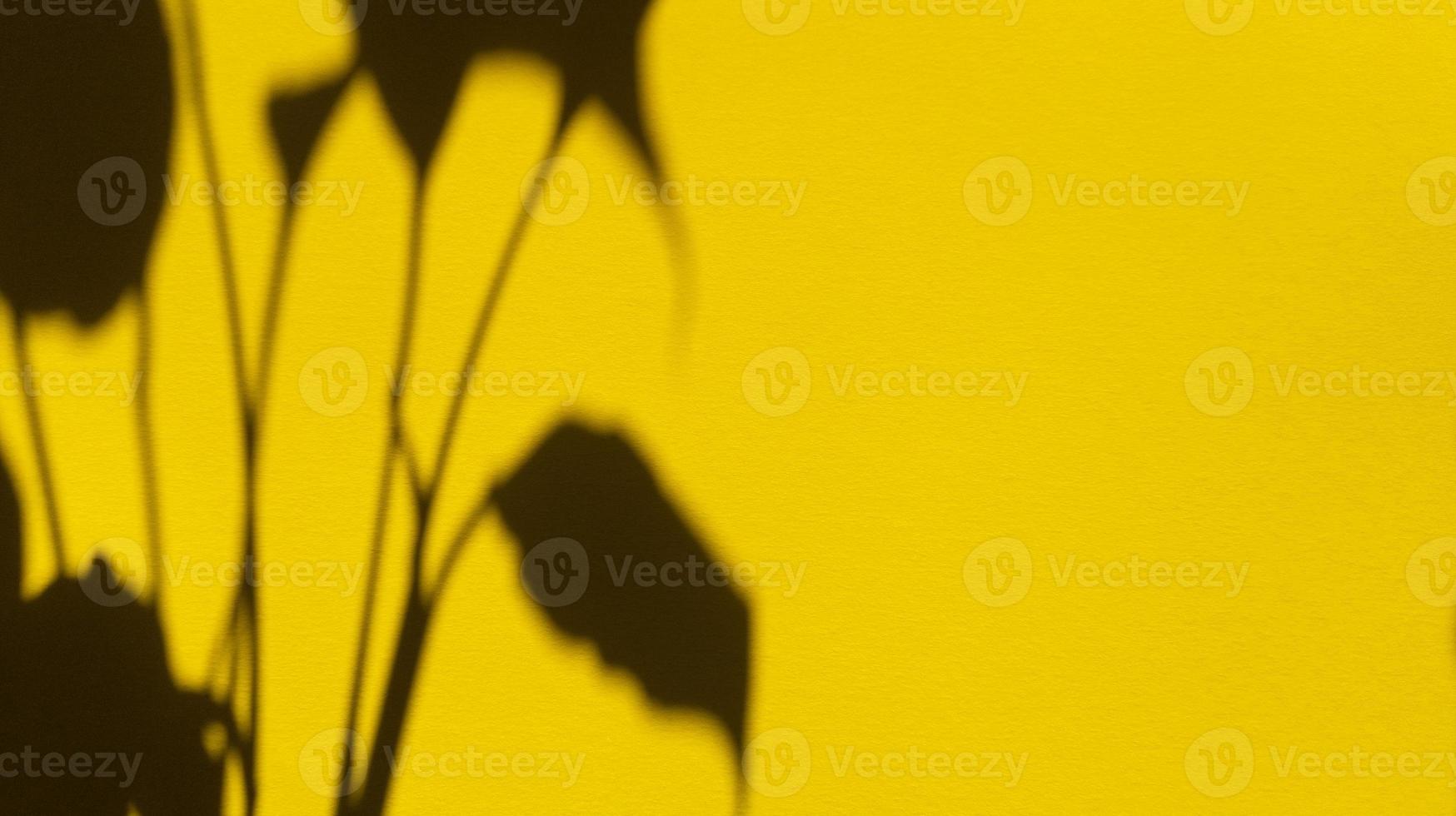 laisse des ombres sur du papier pastel jaune. fond abstrait. stock photo. photo