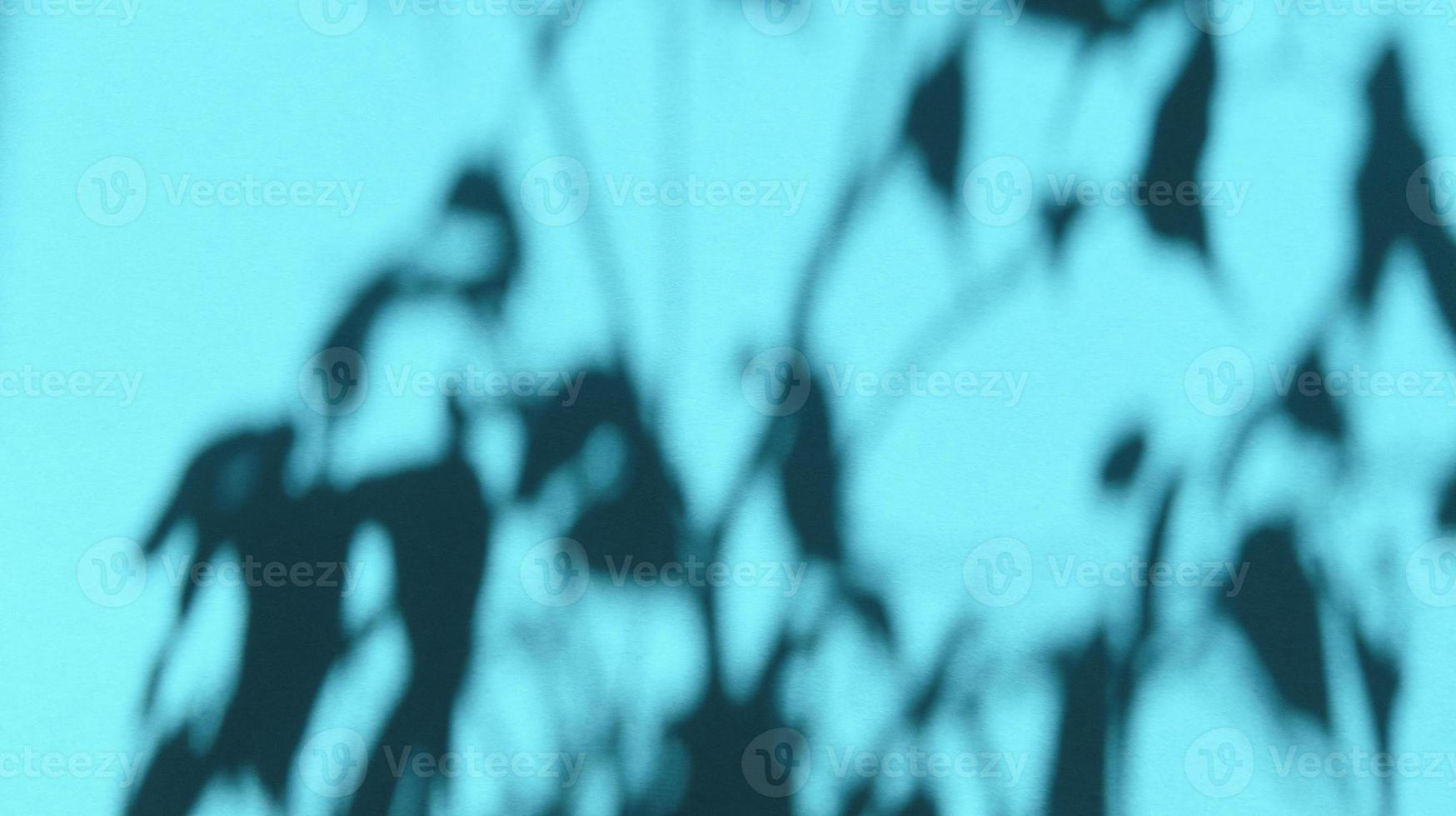 laisse des ombres sur du papier de texture pastel bleu. fond abstrait. stock photo. photo