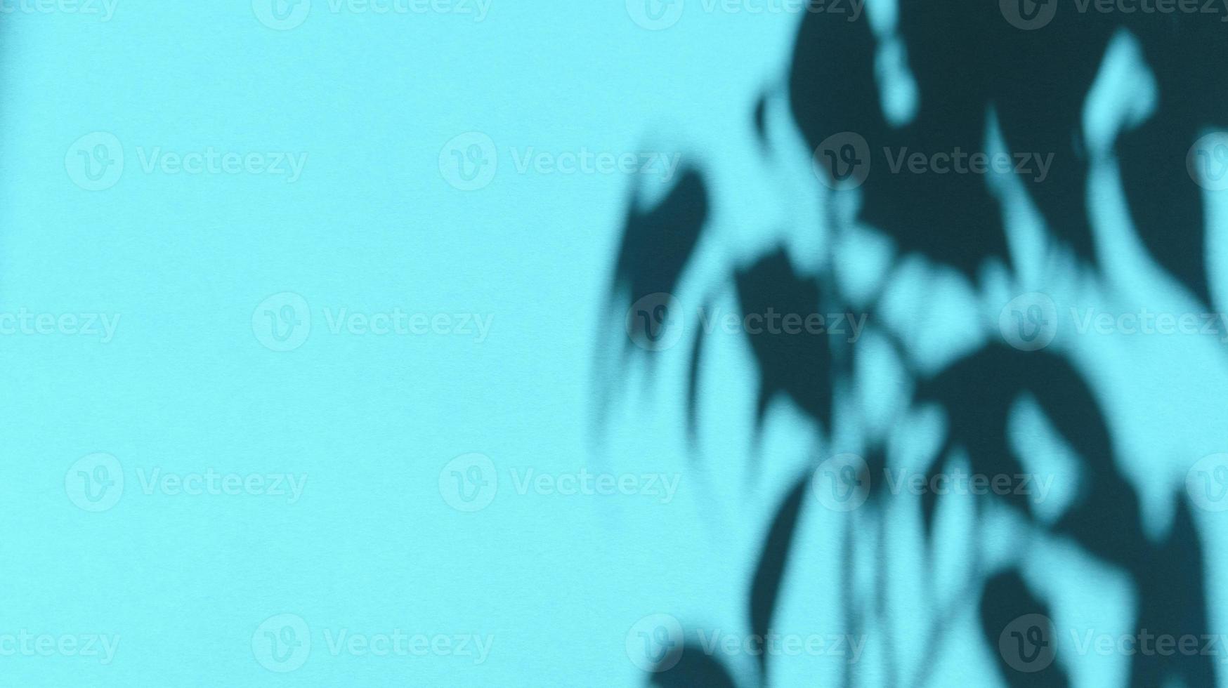 laisse des ombres sur du papier pastel bleu. fond abstrait. stock photo. photo