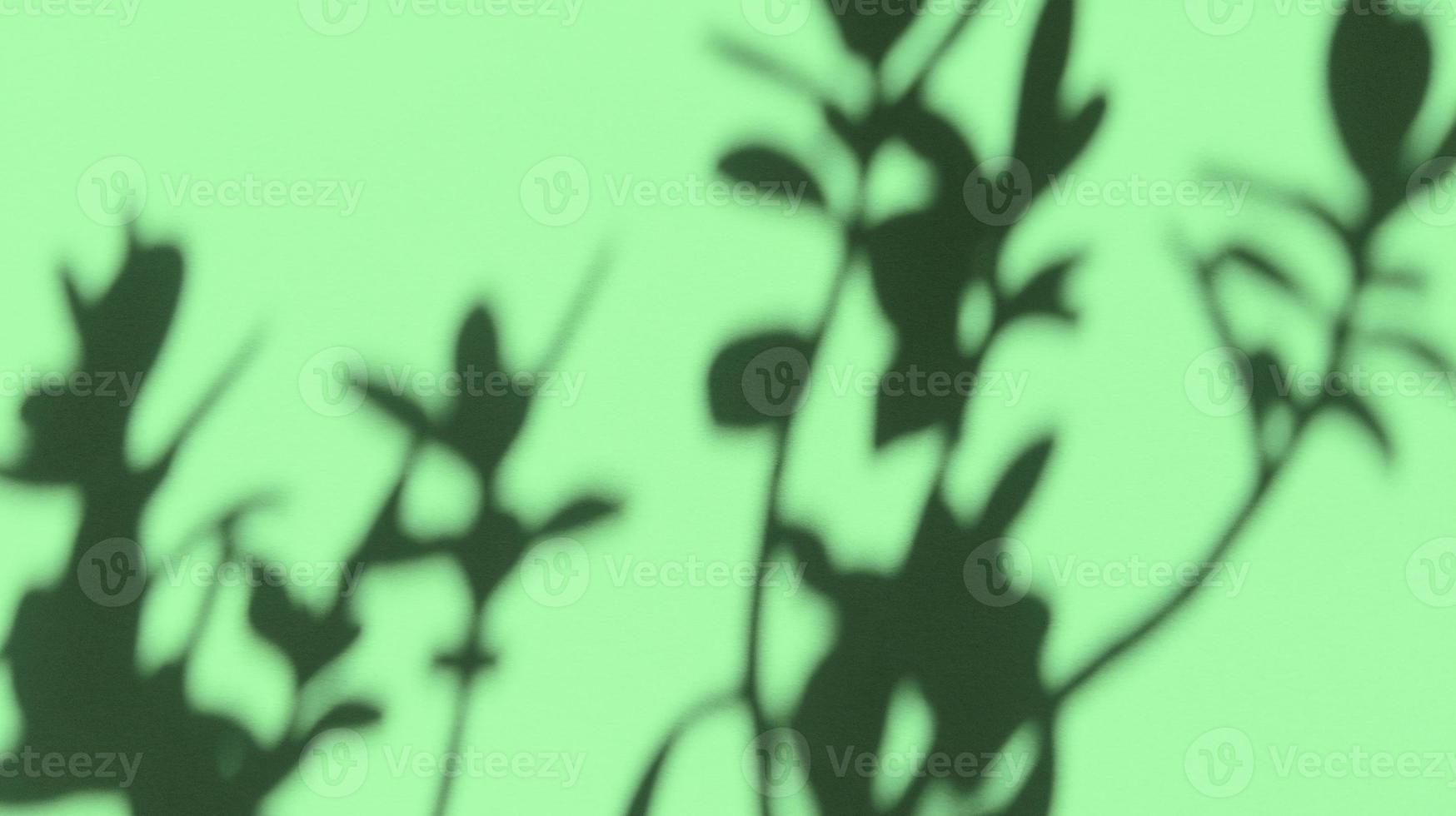 laisse des ombres sur du papier de texture pastel vert. fond abstrait. stock photo. photo