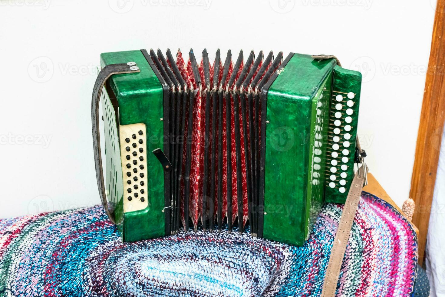 le russe verdure est une musical instrument. photo