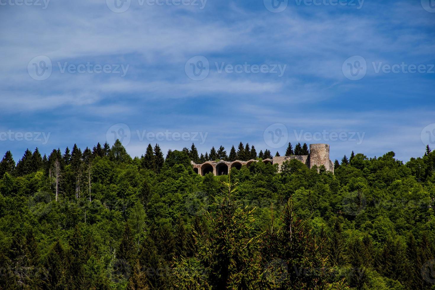 Castelfranco Veneto parmi les arbres photo